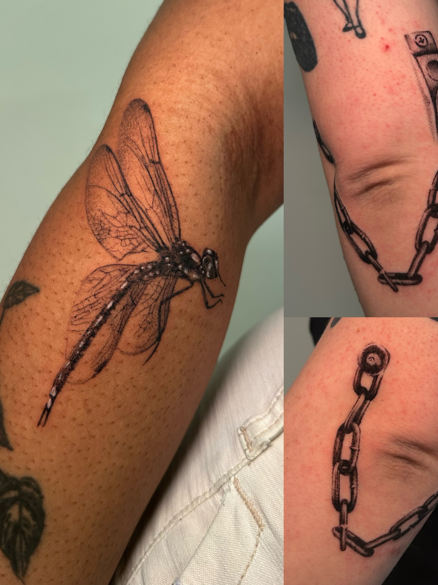 Dragonfly black and grey tattoo on the forearm by kale