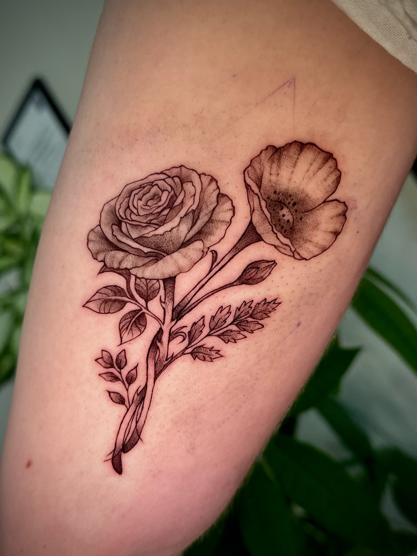 Tattoo by @moggy_tattoo โ black_and_grey