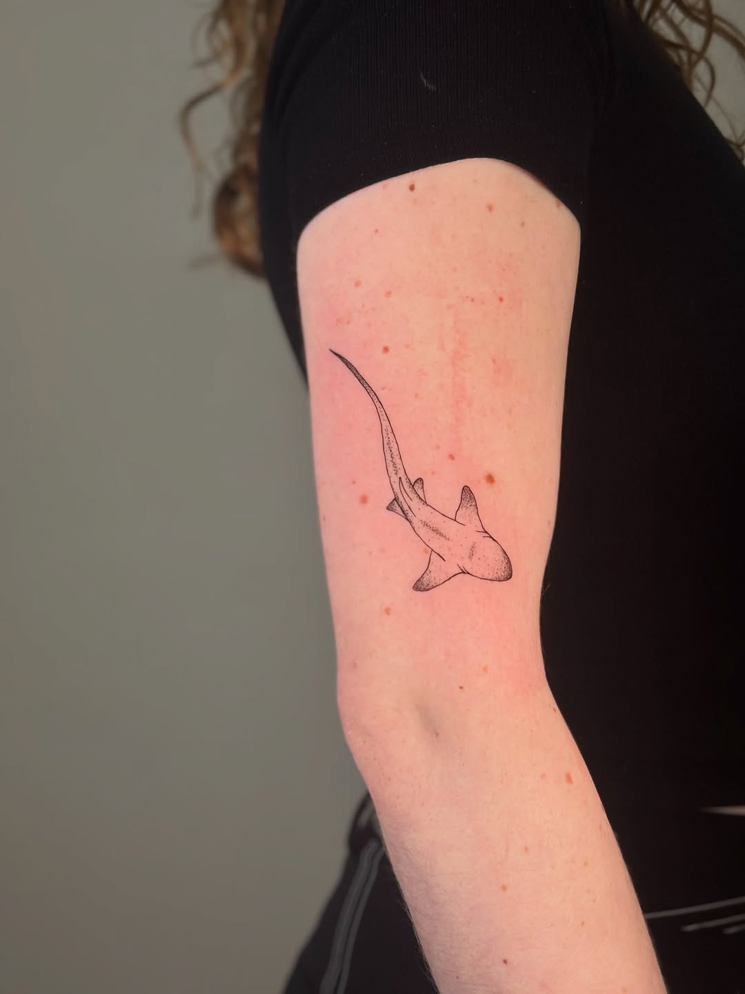 Shark fine line tattoo on the forearm by Jules Ink ⋆ Fineline Tattoo