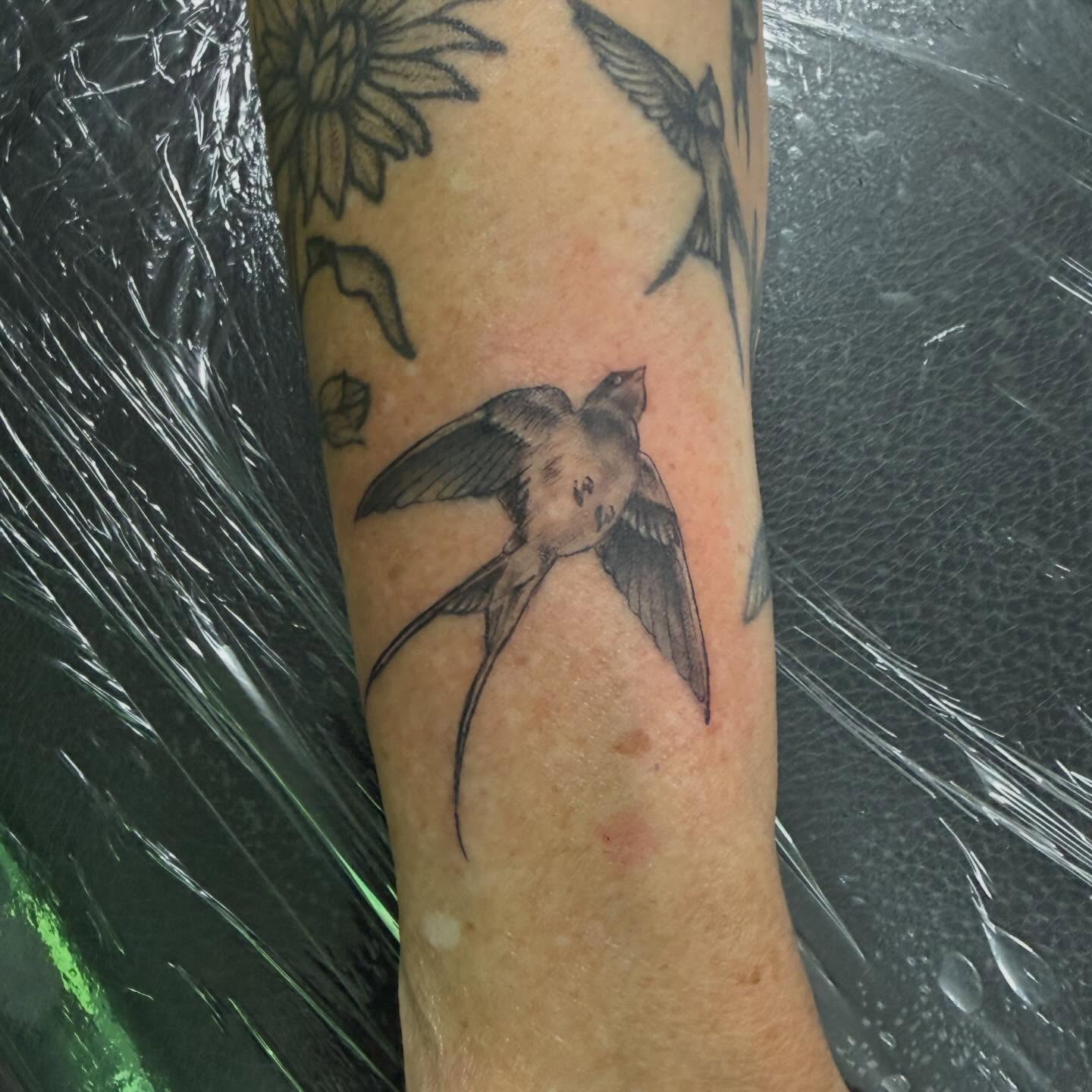 Swallow black and grey tattoo on the forearm by Daniel Smith