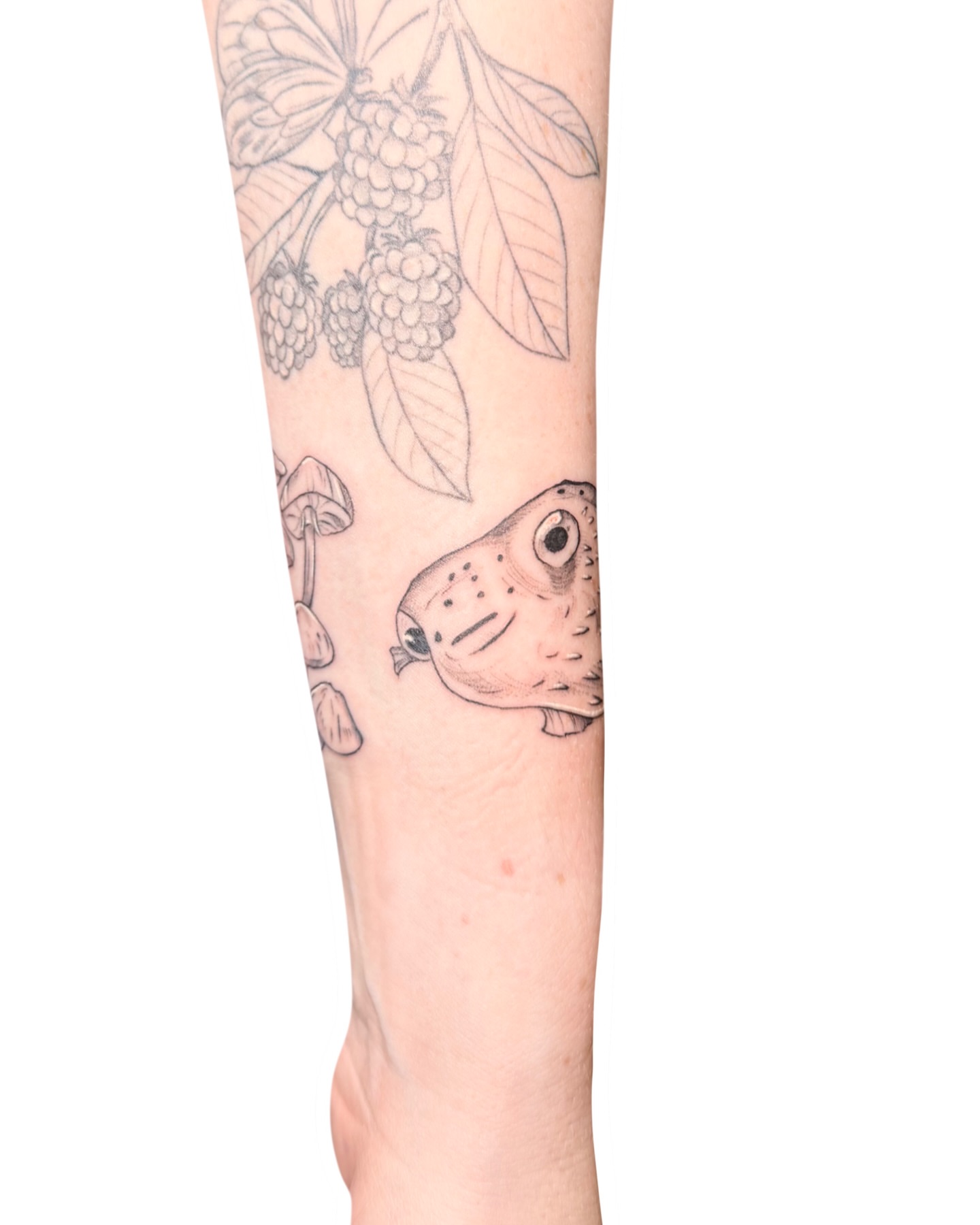 Frog realism tattoo on the forearm by Fionna, Seattle, Washington