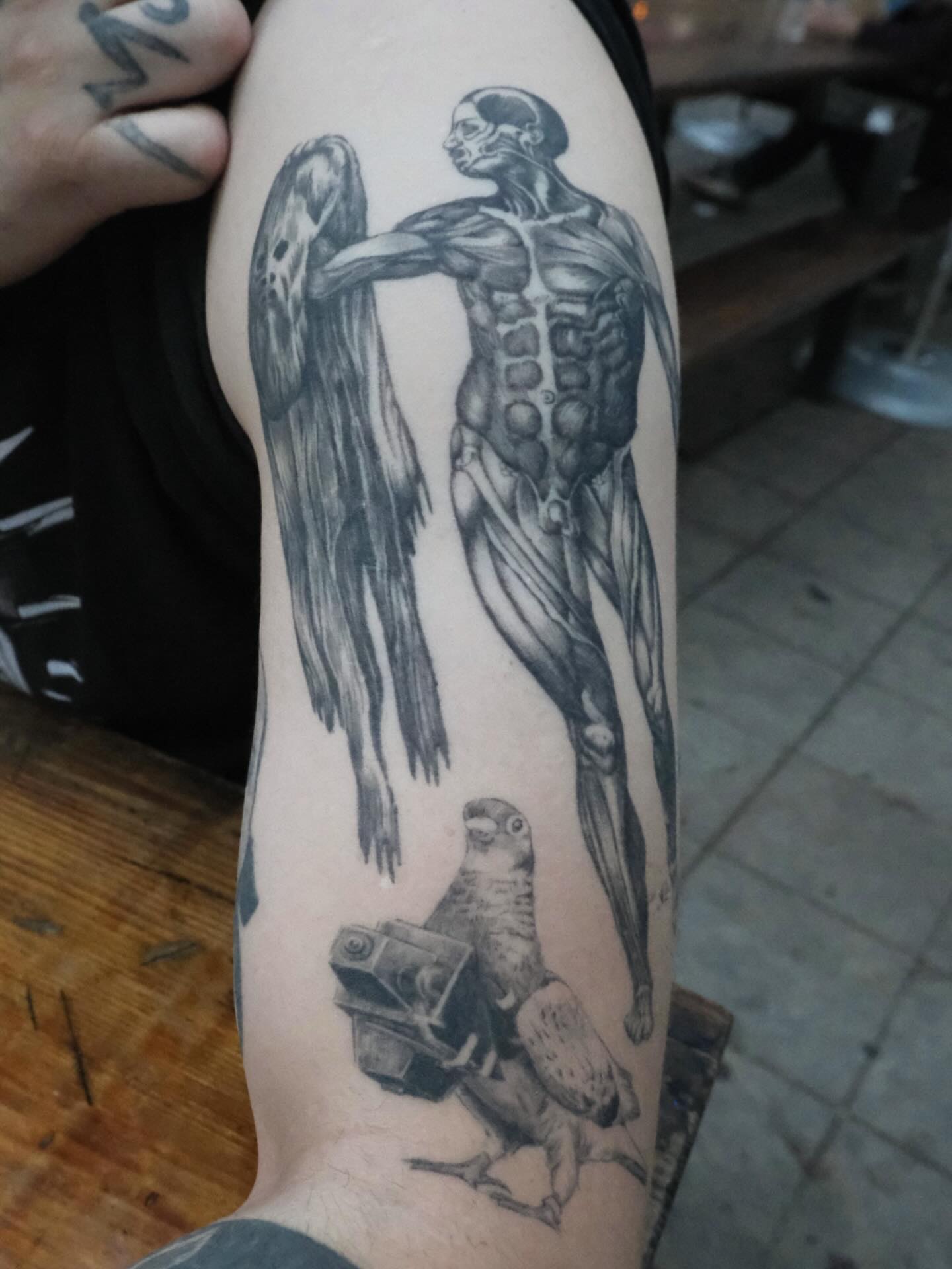 Anatomical figure with bird and camera realism tattoo on the forearm by HanaKaki