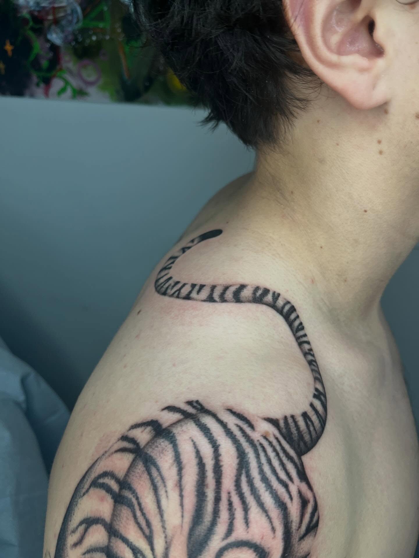 Zebra black and grey tattoo on the shoulder by Gabbie