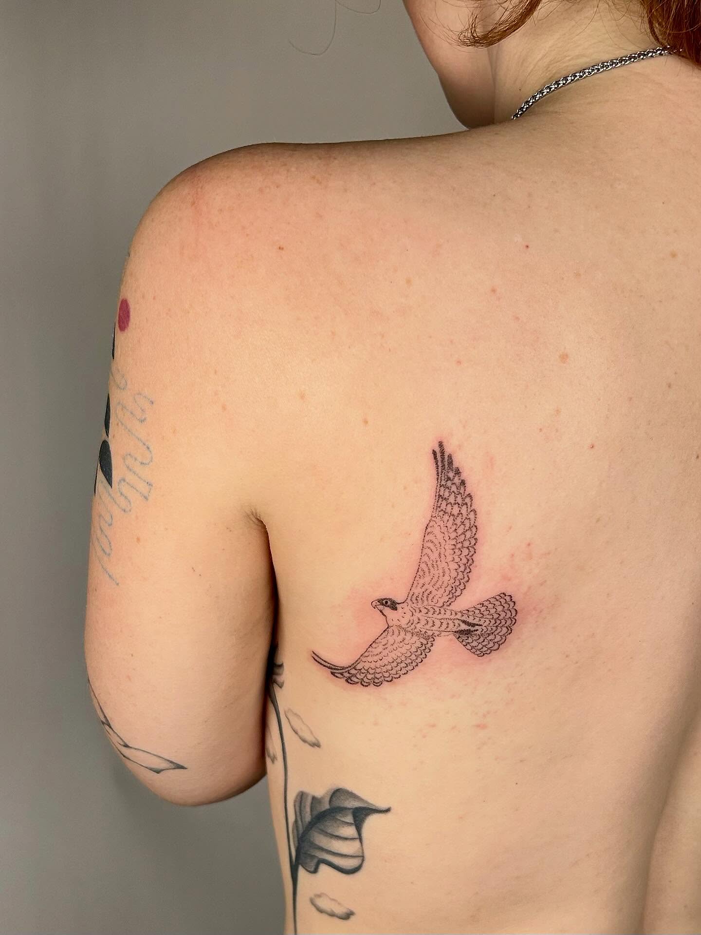 Bird black and grey tattoo on the shoulder by Nicolette