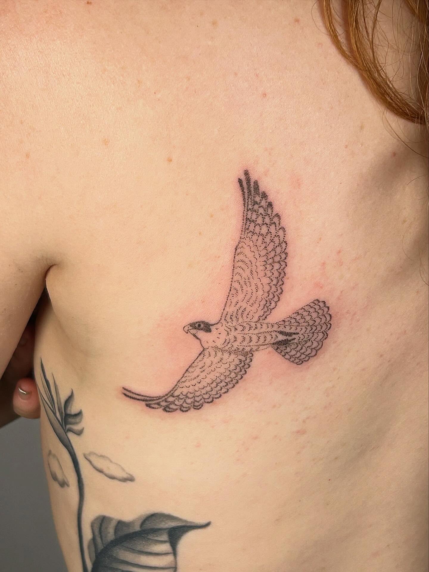 Falcon black and grey tattoo on the chest by Nicolette