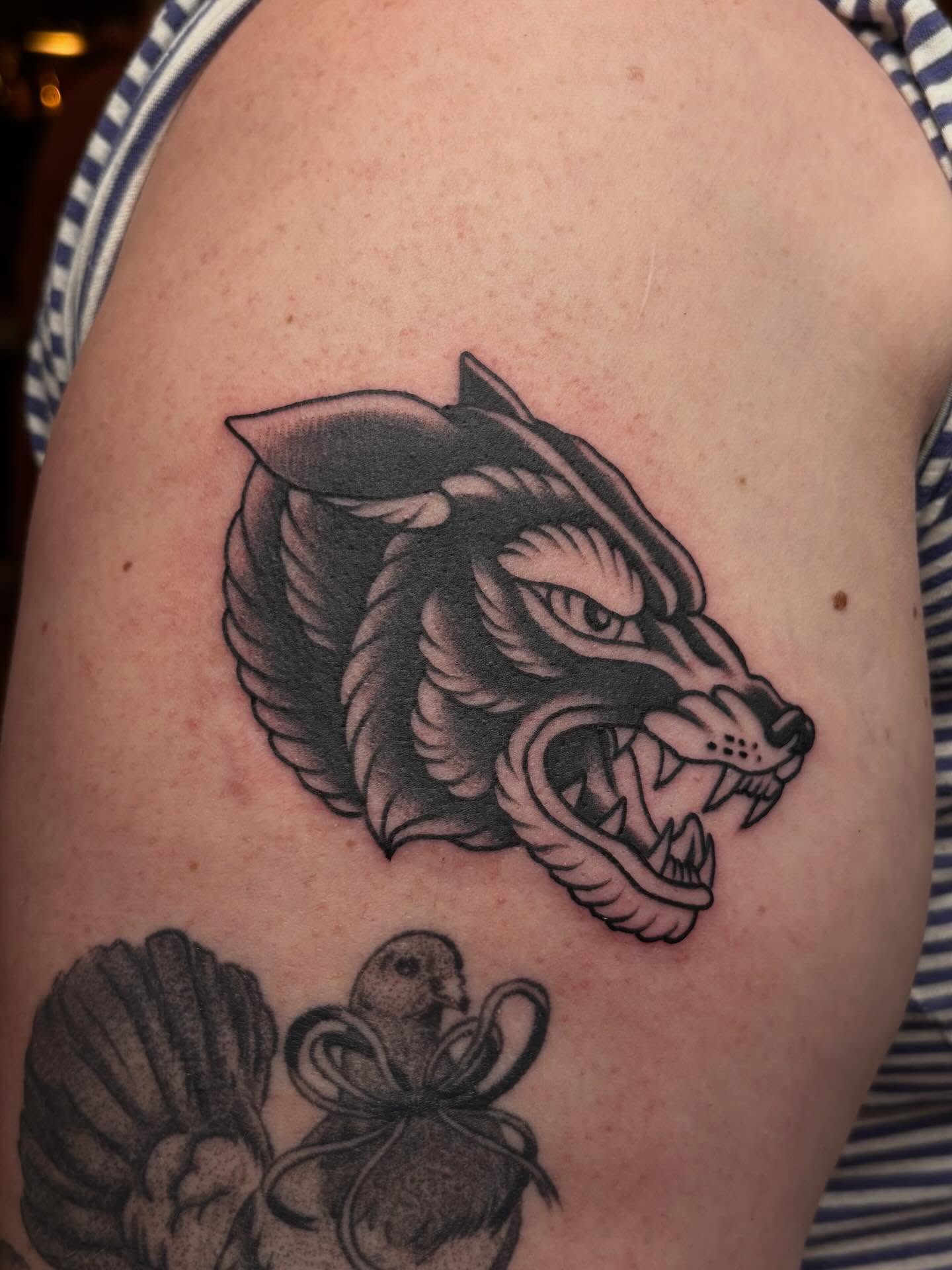 Wolf head American traditional tattoo on the shoulder by Lily, Eugene, Oregon