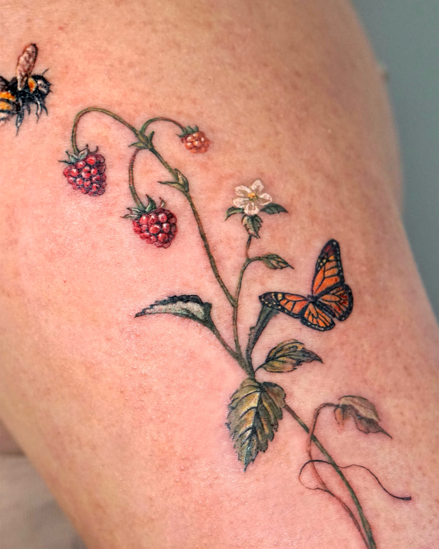 Raspberry plant with butterfly realism tattoo on the thigh by Isle