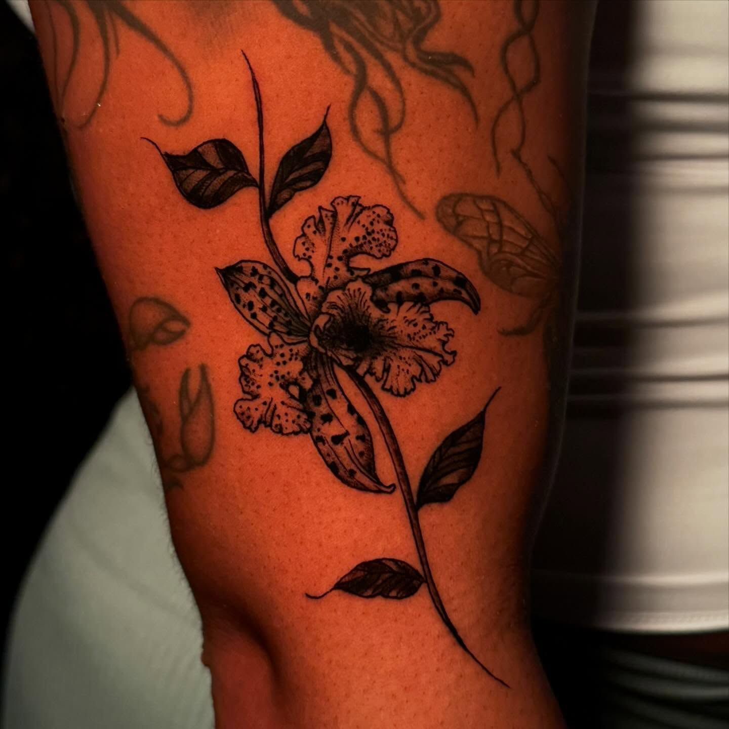Orchid black and grey tattoo on the forearm by π΅ππππππ¦π€