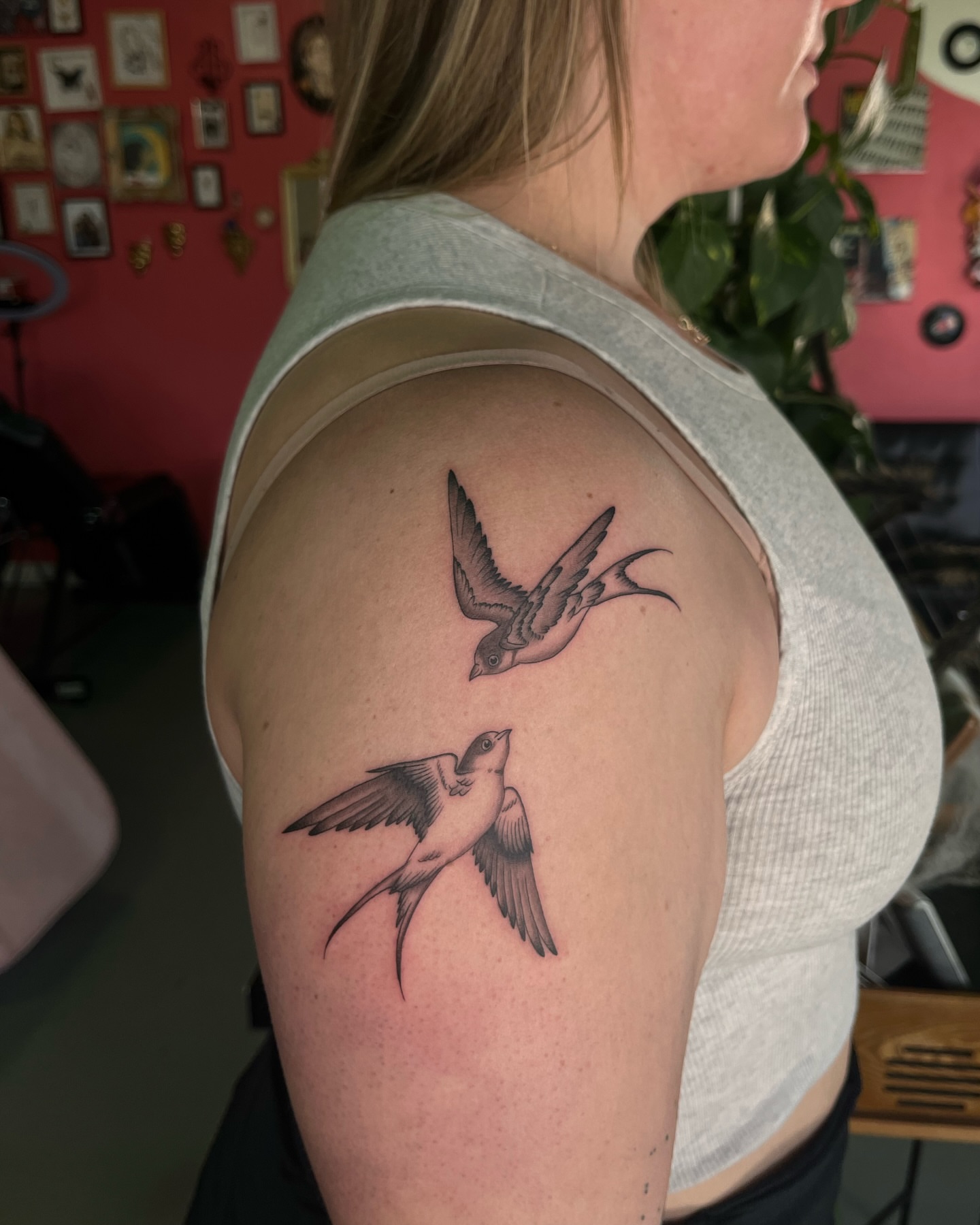 Swallows black and grey tattoo on the shoulder by Daniela
