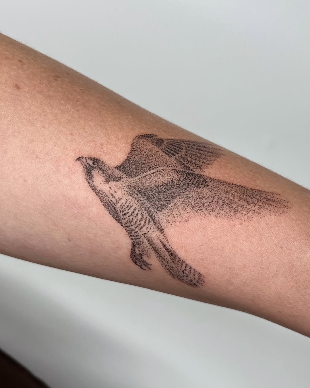 Tattoo by @thankyouforpoking — dotwork, black_and_grey