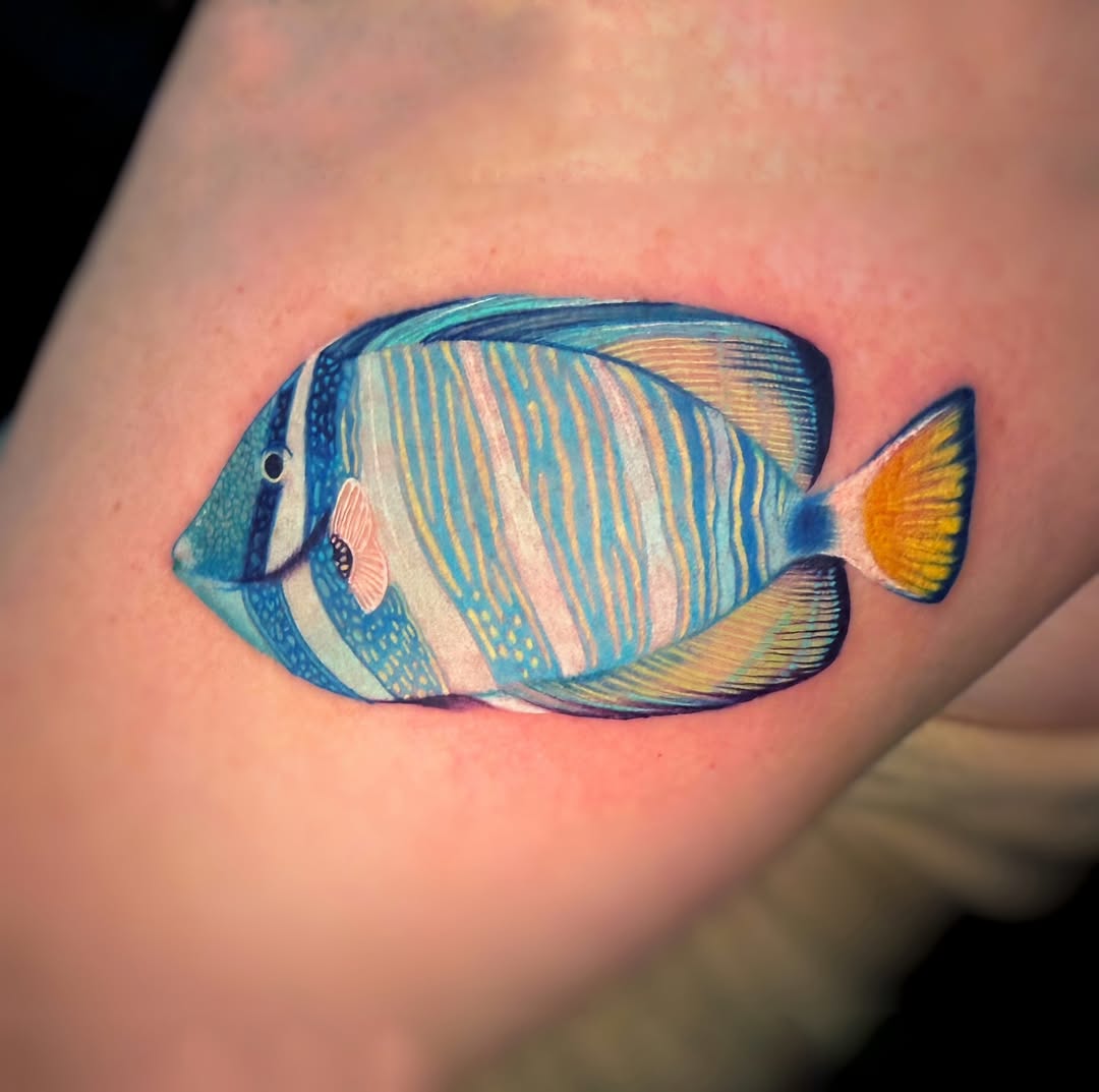Blue tang fish fine line tattoo on the forearm by Tattoos by Hanna, Farmington Hills, Michigan