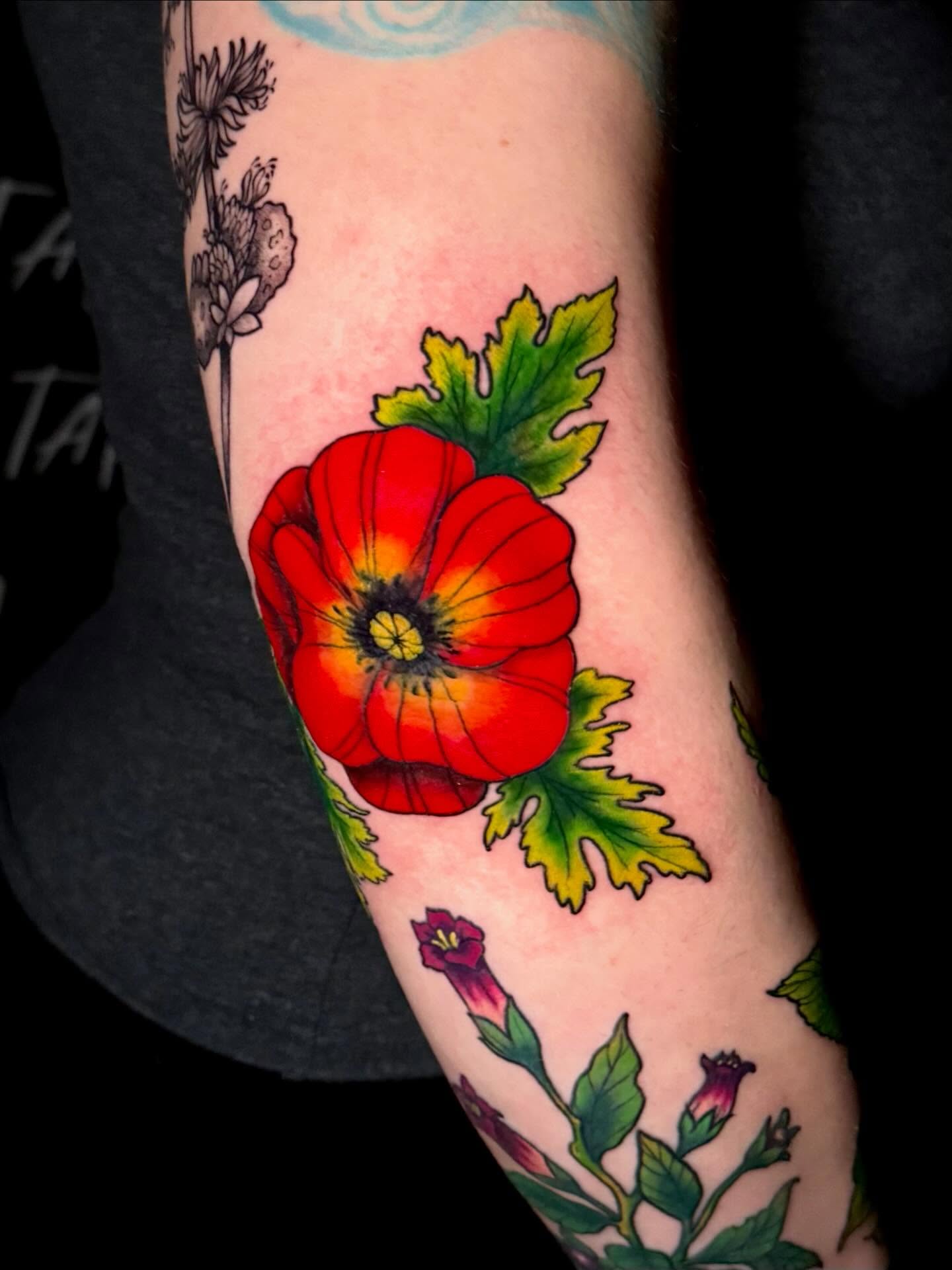 Red poppy realism tattoo on the forearm by Taylor Kay 🌿