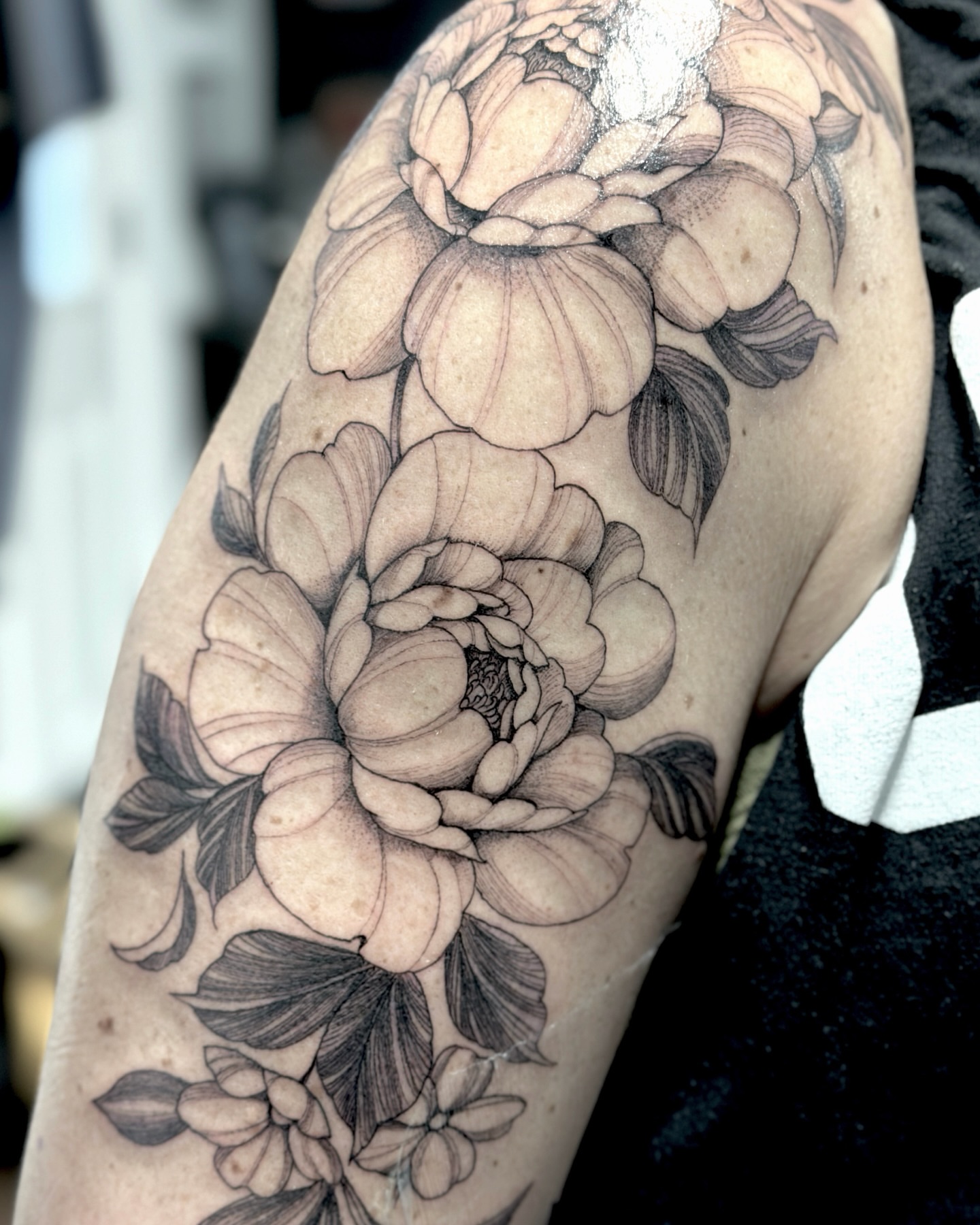 Peony flowers black and grey tattoo on the shoulder by R e N O T