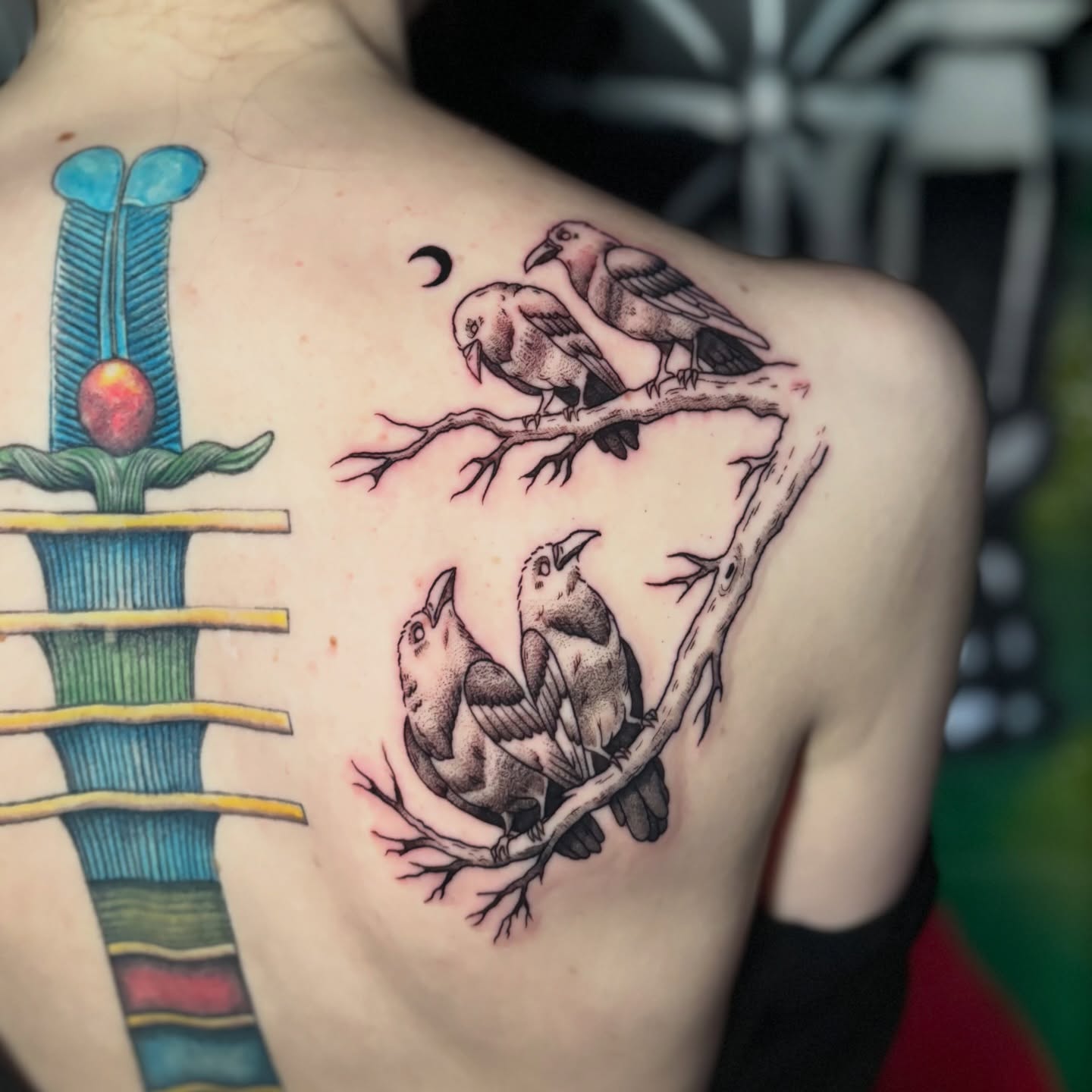Birds on branch black and grey tattoo on the shoulder by 𝕊𝕒𝕞 ☪︎ ִ ࣪𖤐 𐦍 ☾𖤓