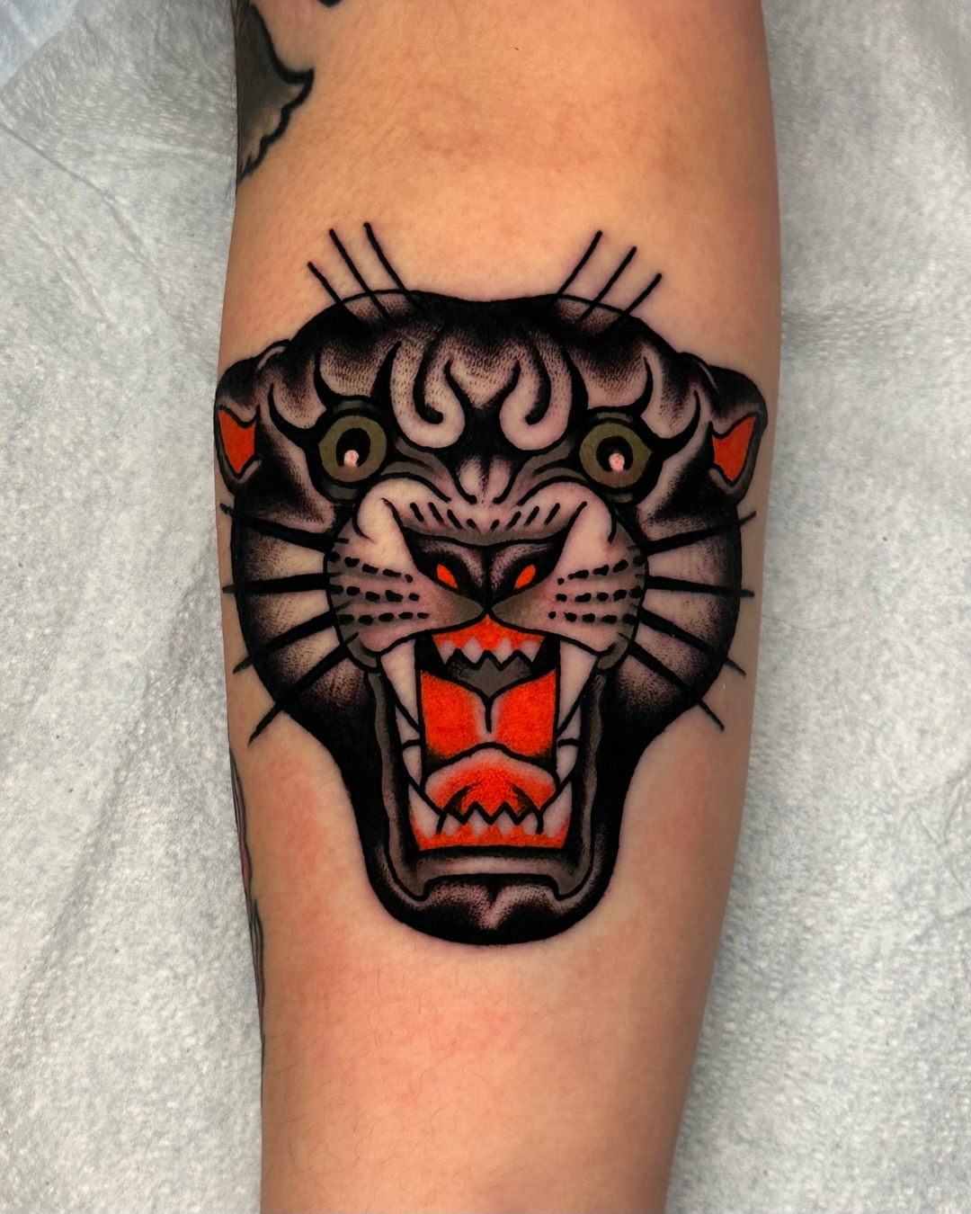 Roaring panther American traditional tattoo on the forearm by Tony Perez- Austin Texas Tattooer
