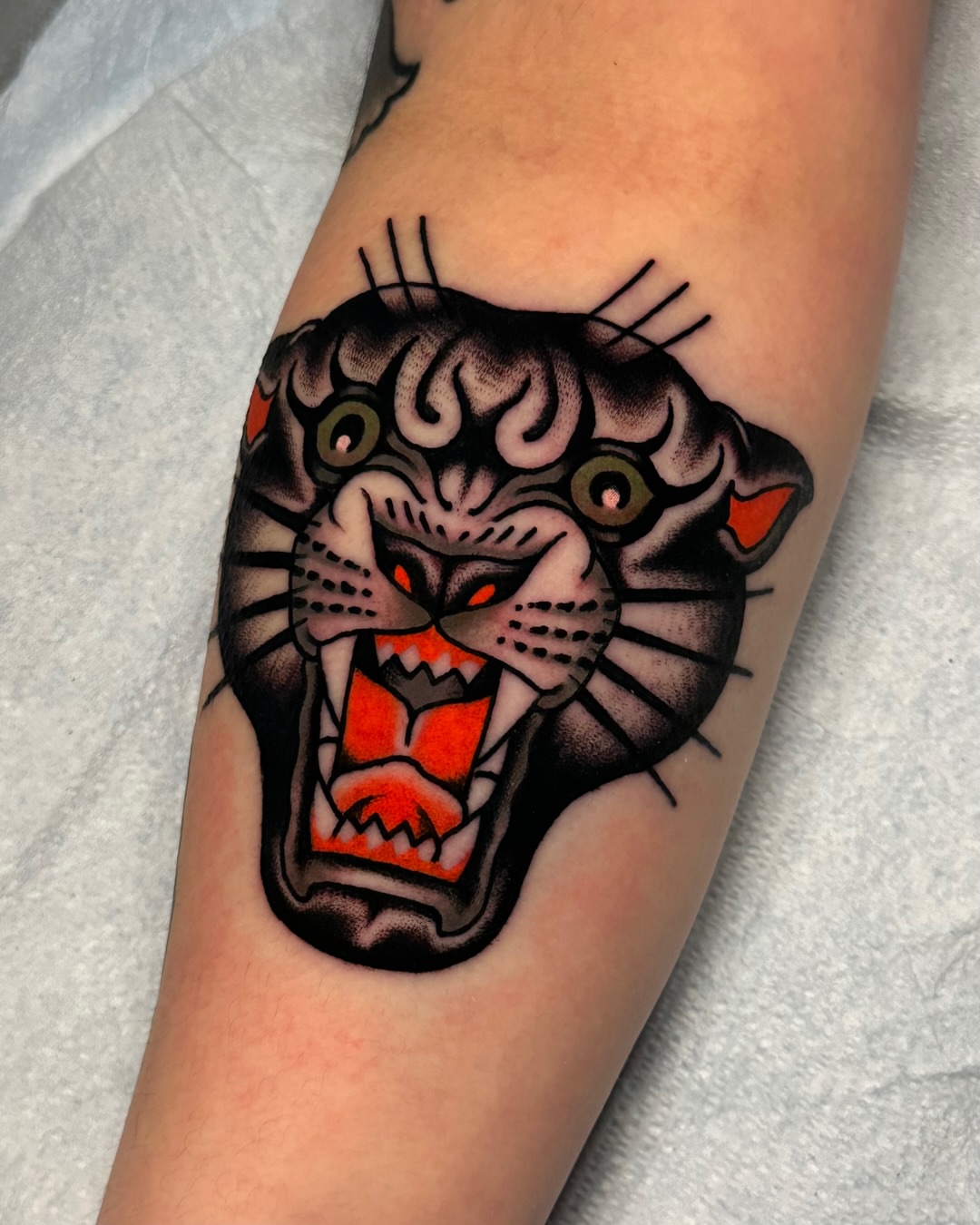 Panther head American traditional tattoo on the forearm by Tony Perez- Austin Texas Tattooer