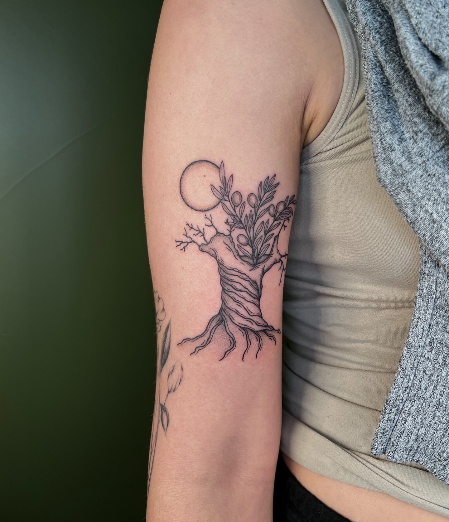 Olive tree black and grey tattoo on the forearm by ๐ฅ ๐๐ฅ๐๐ฑ๐ข๐ฌ ๐ฅ