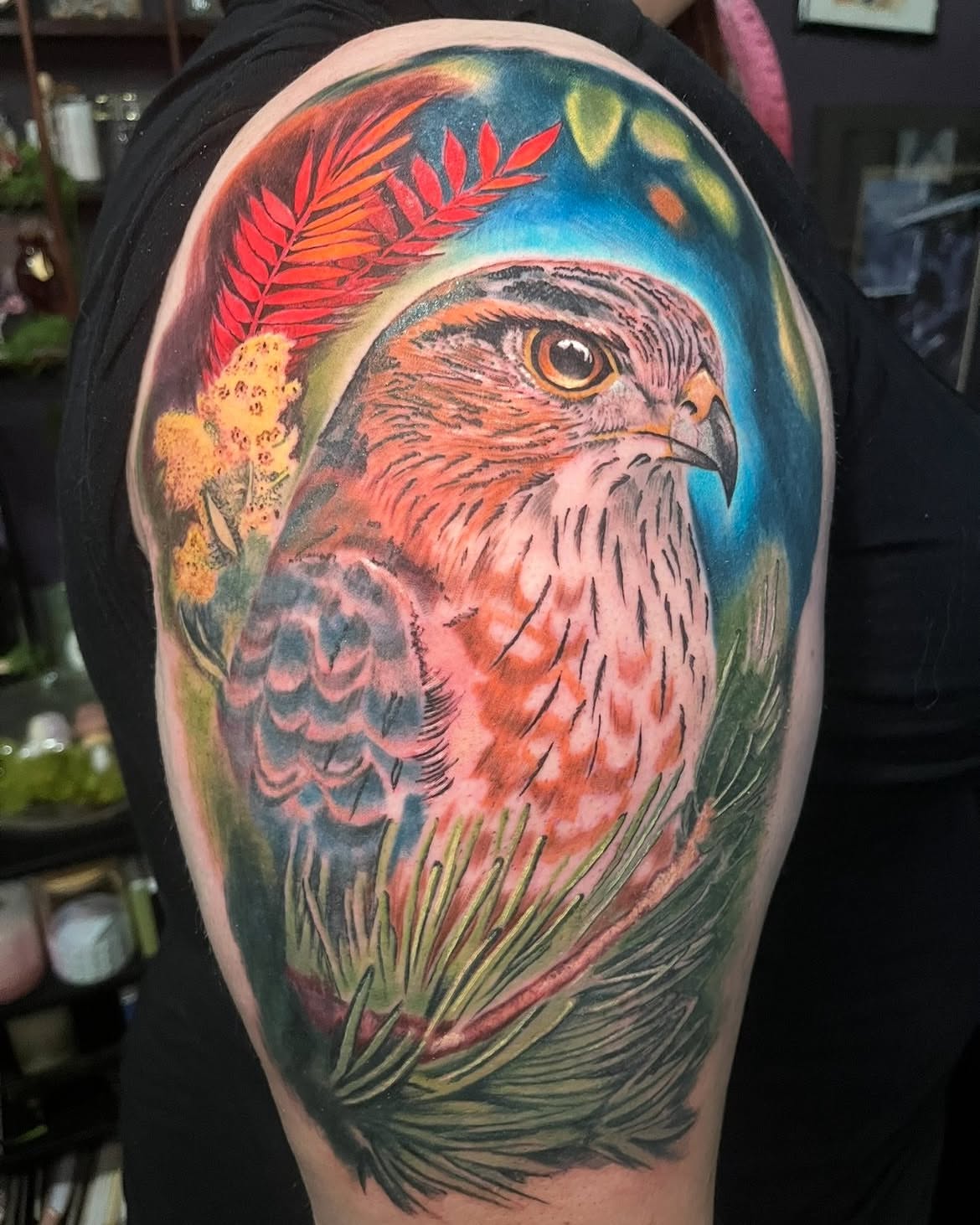 Hawk realism tattoo on the shoulder by SJ