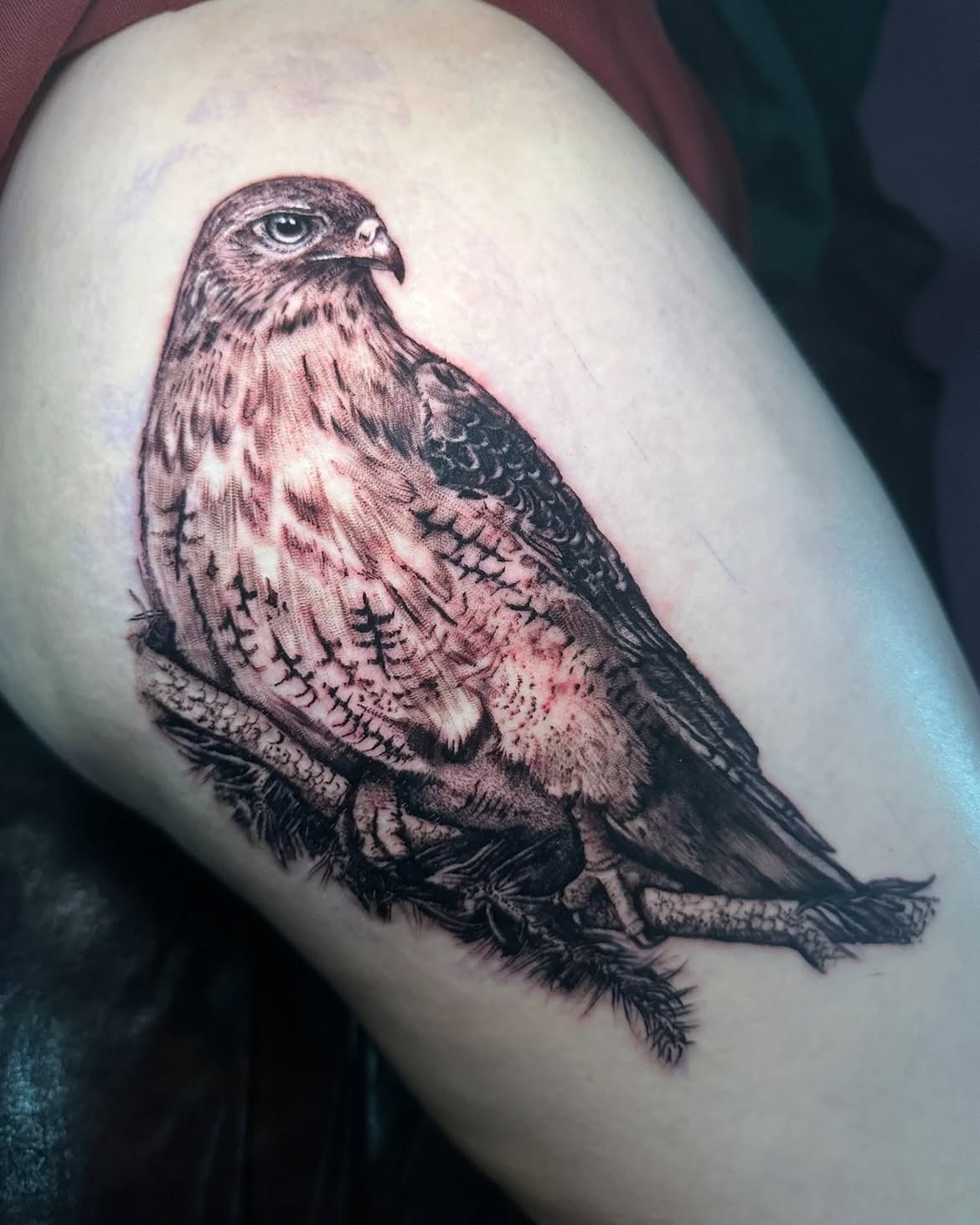 Hawk realism tattoo on the thigh by SJ