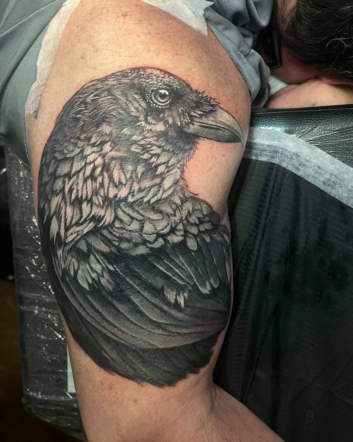 Crow realism tattoo on the shoulder by SJ