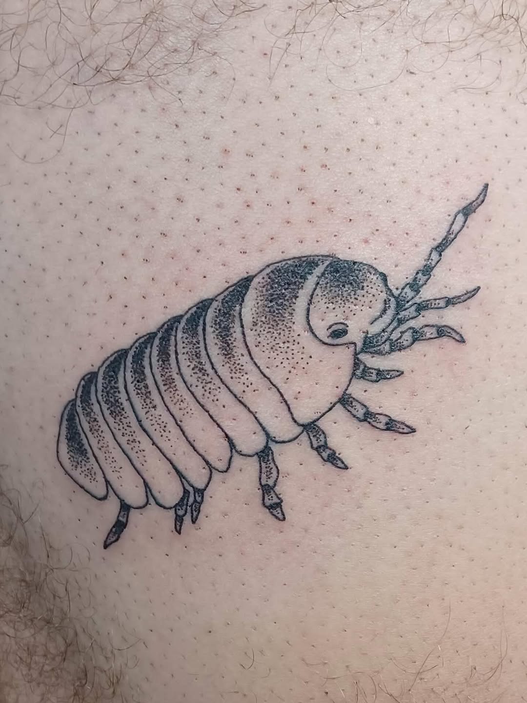 Woodlouse fine line tattoo on the thigh by Abi