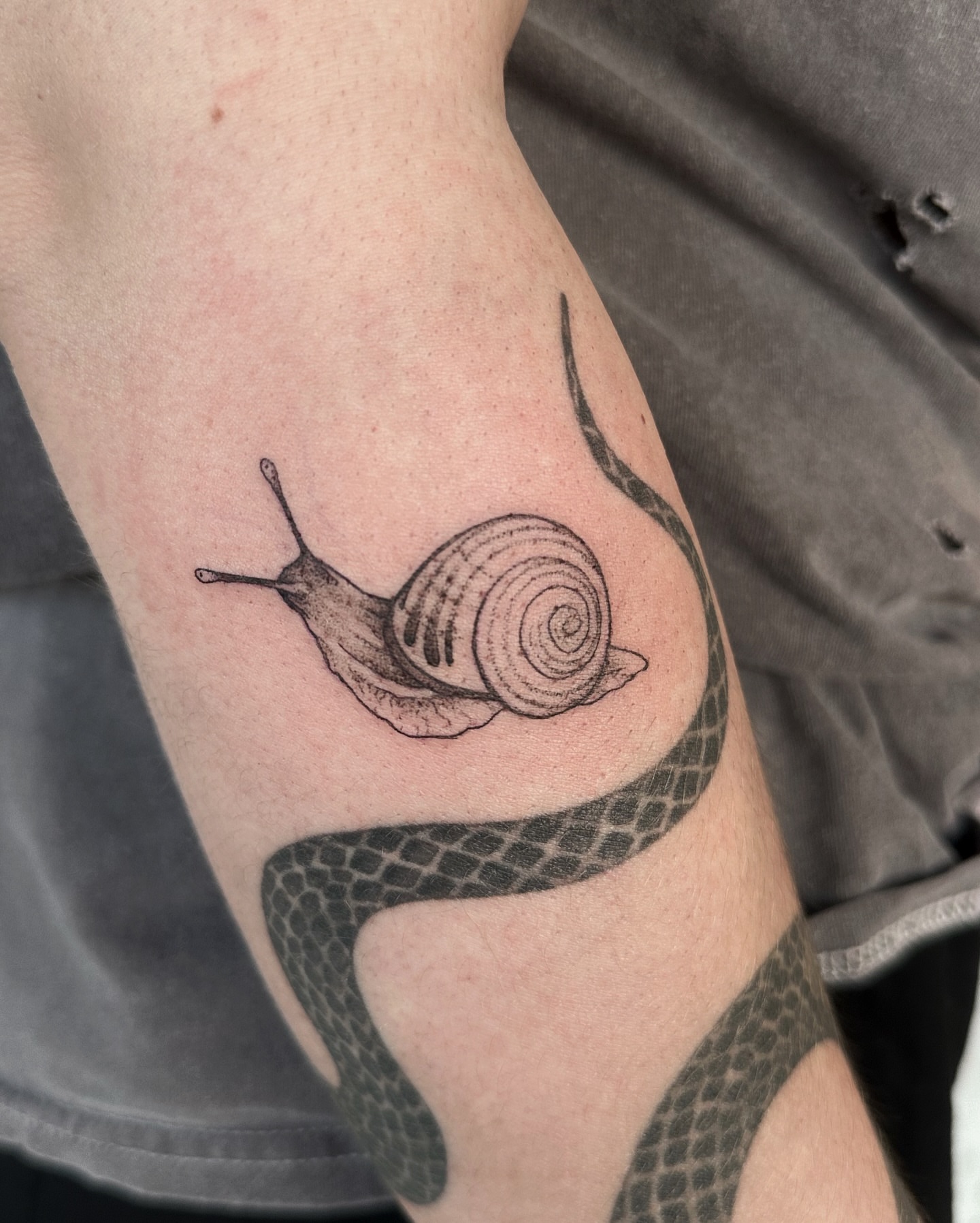 Snail black and grey tattoo on the forearm by Micky, Austin, Texas