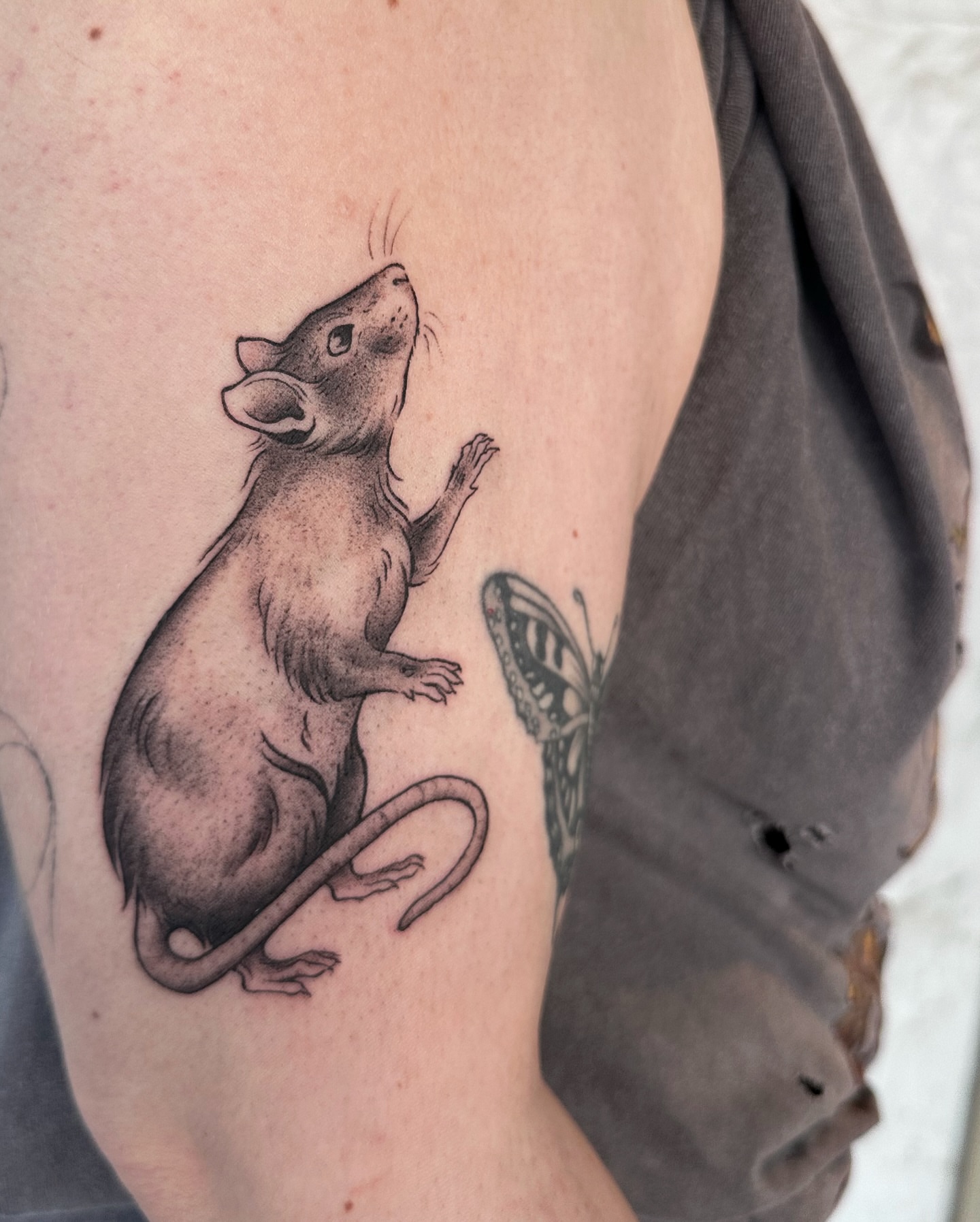 Rat black and grey tattoo on the thigh by Micky, Austin, Texas