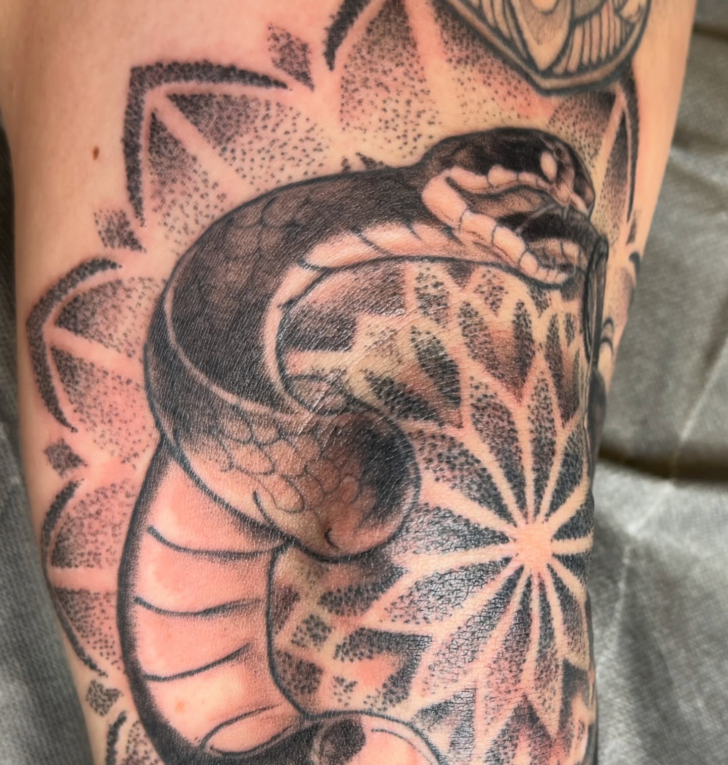 Snake dotwork tattoo on the forearm by Joe Hall