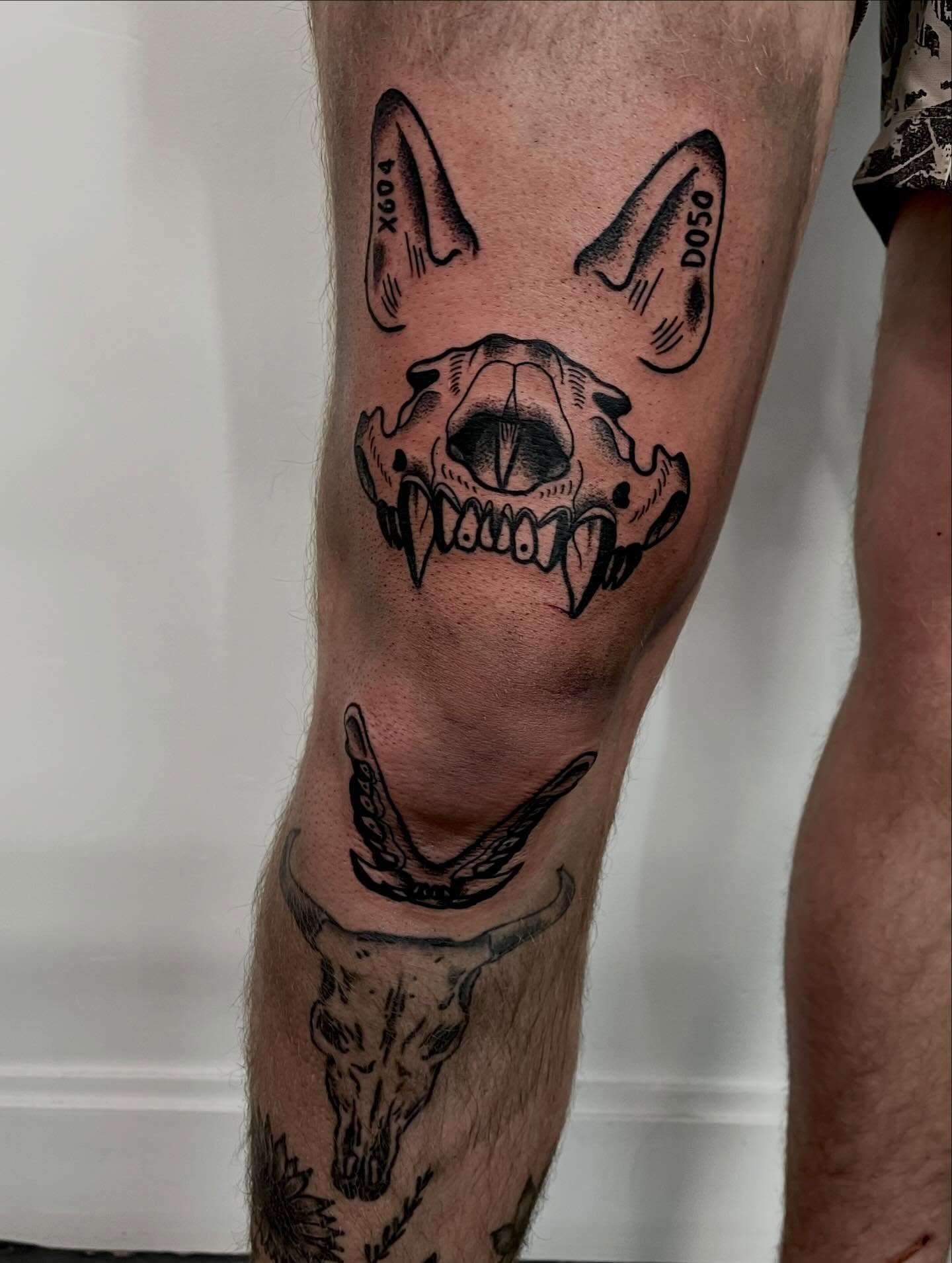 Dog skull black and grey tattoo on the leg by Mason McCubbin