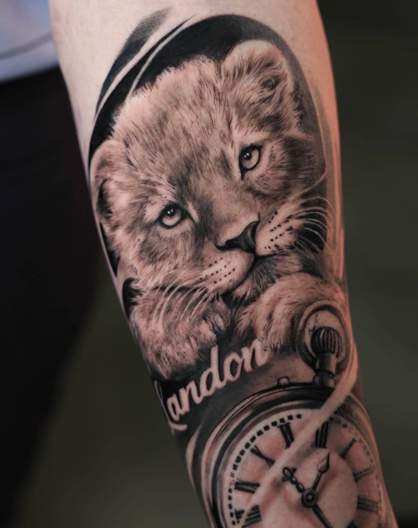 Lion realism tattoo on the forearm by Diego Andrés Cárdenas