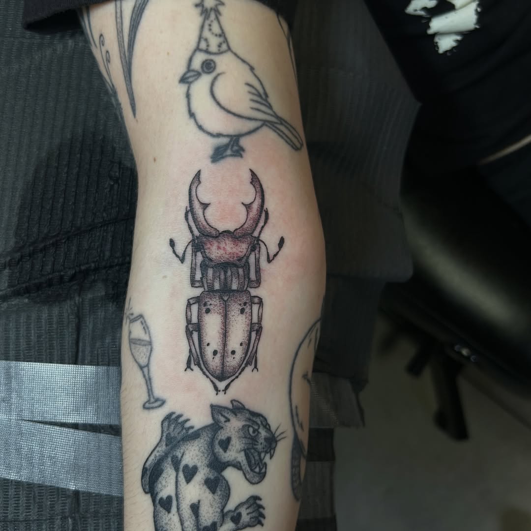 Tattoo by @torreyinks — dotwork, black_and_grey