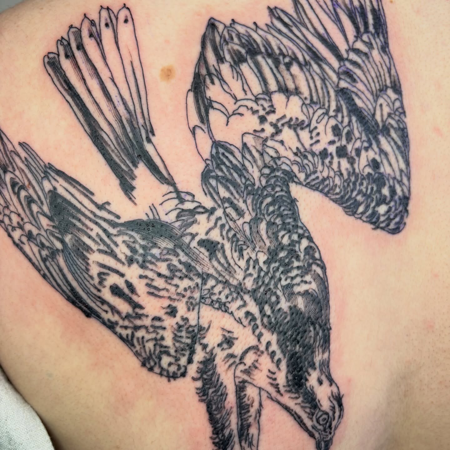 Tattoo by @lamhamilton β black_and_grey