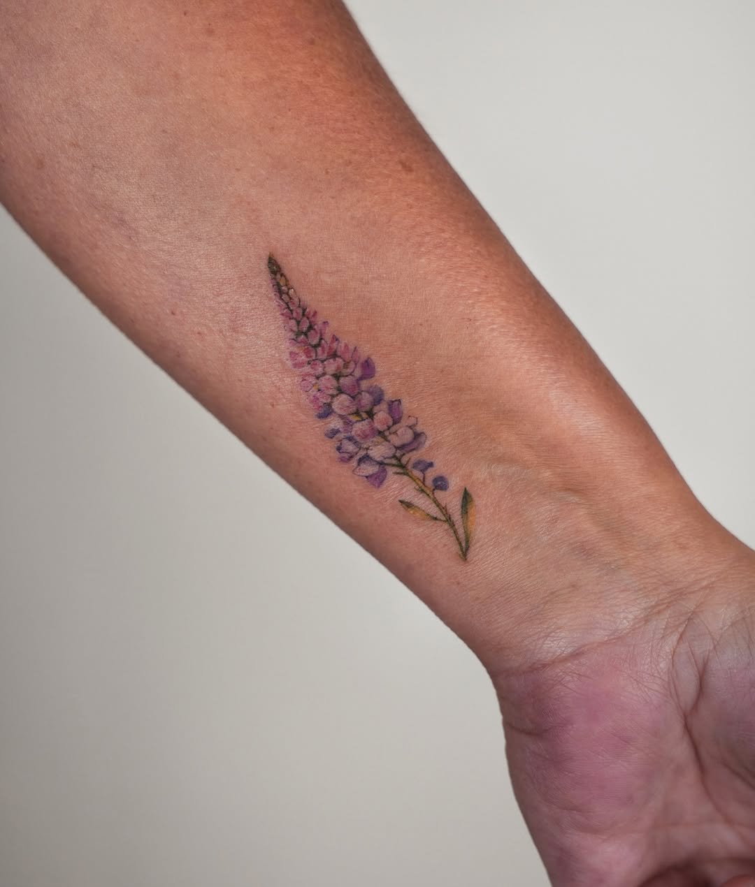 Lupine flower watercolor tattoo on the forearm by Helly March
