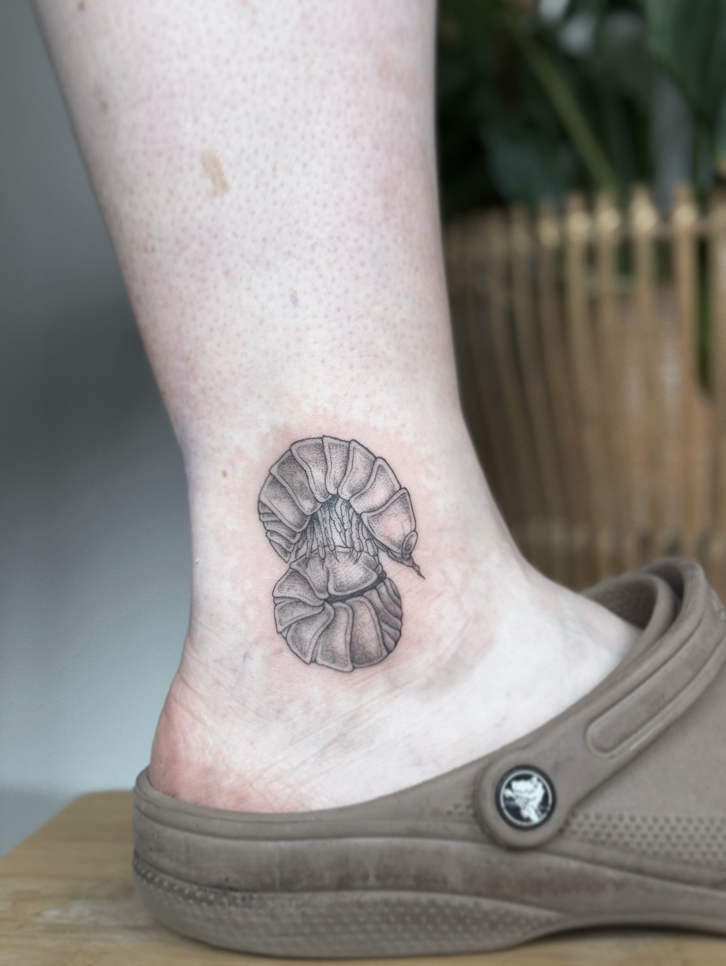 Seahorse black and grey tattoo by 𝕵𝖊𝖘𝖘𝖎𝖈𝖆 𝕰𝖑 (raleigh tattoo artist)