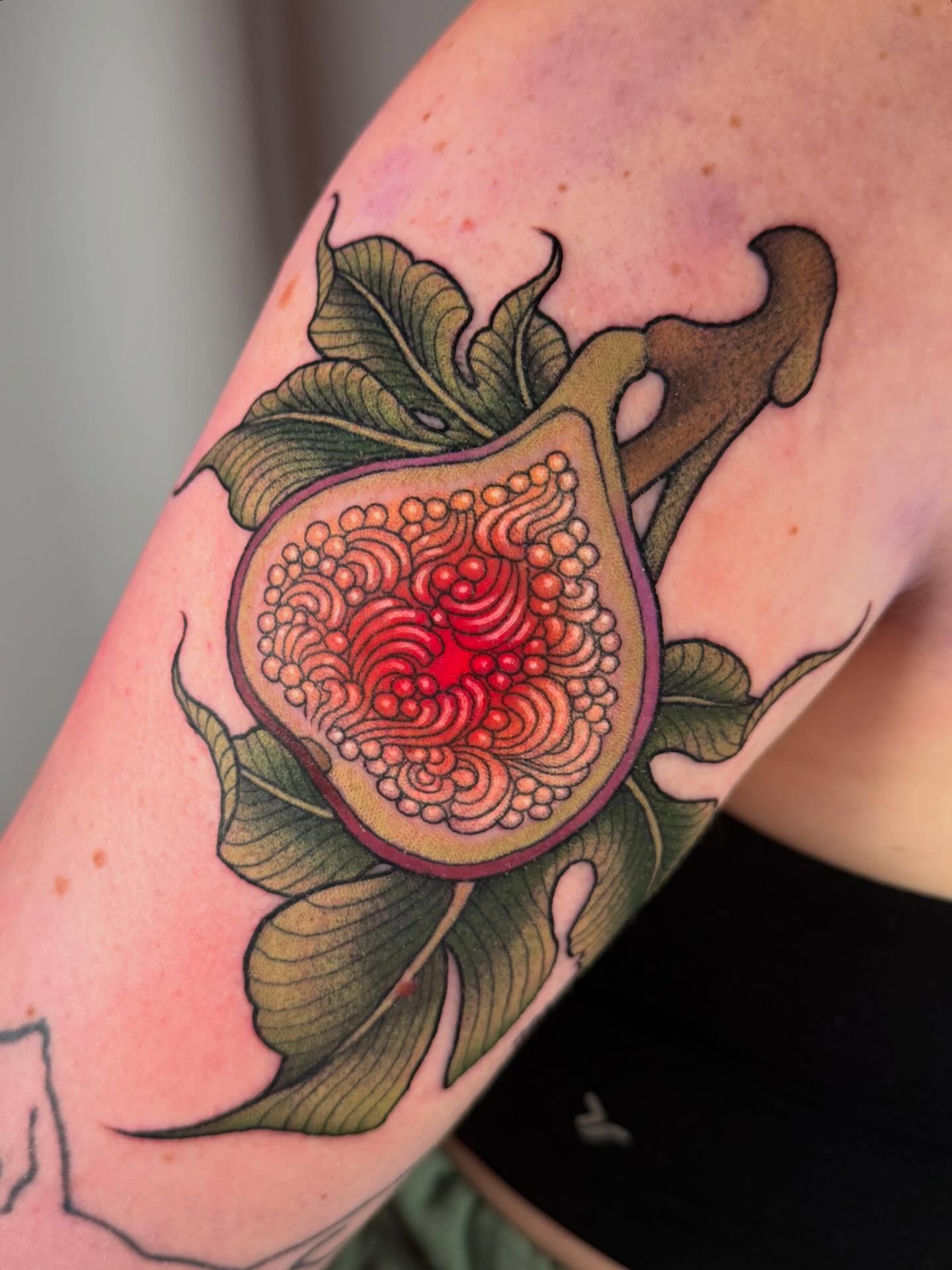 Fig dotwork tattoo on the upper arm by leanna patterson, Ruston, Louisiana