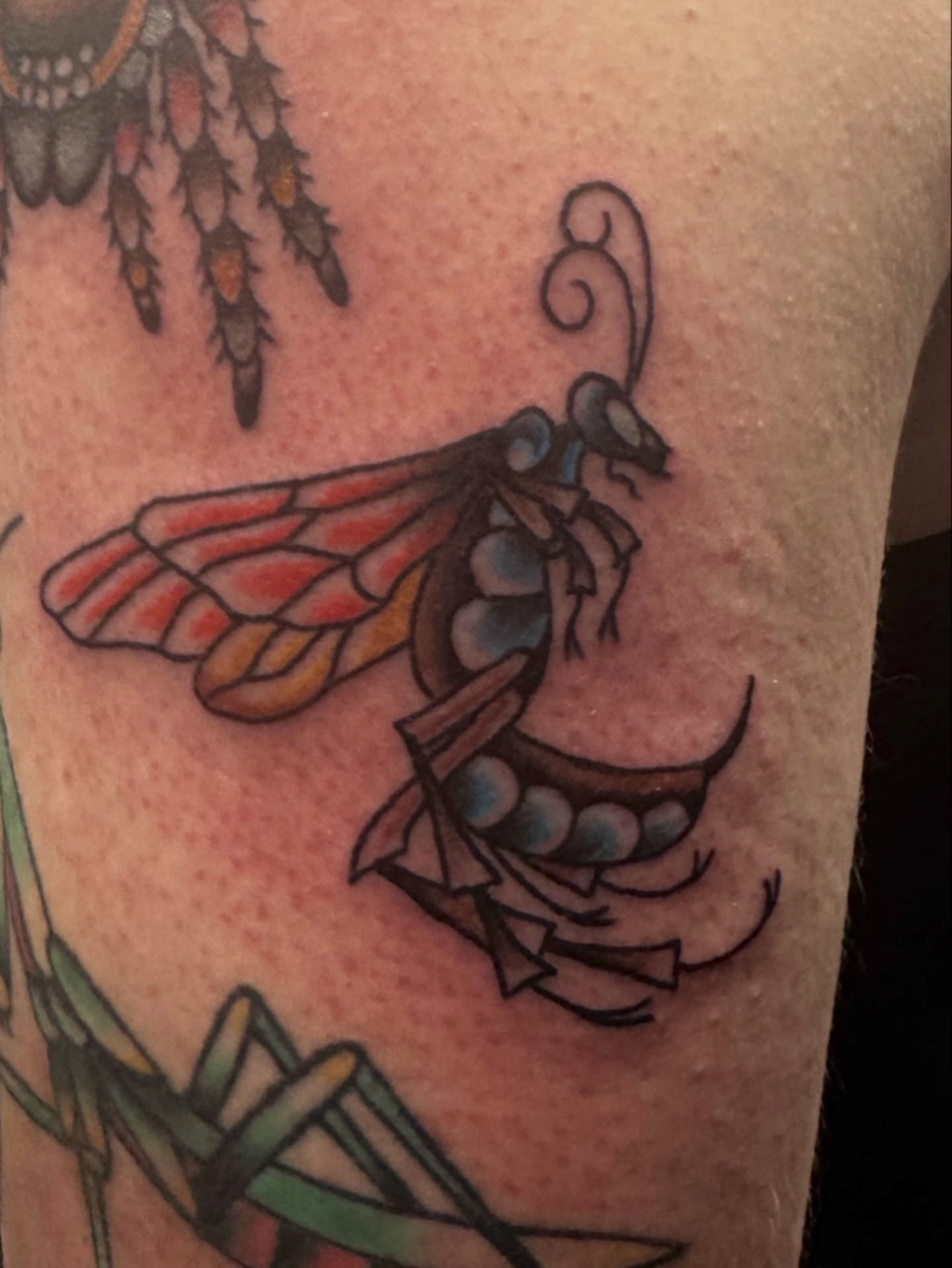 Tattoo by @dis.asterkane.tattoos — american_traditional