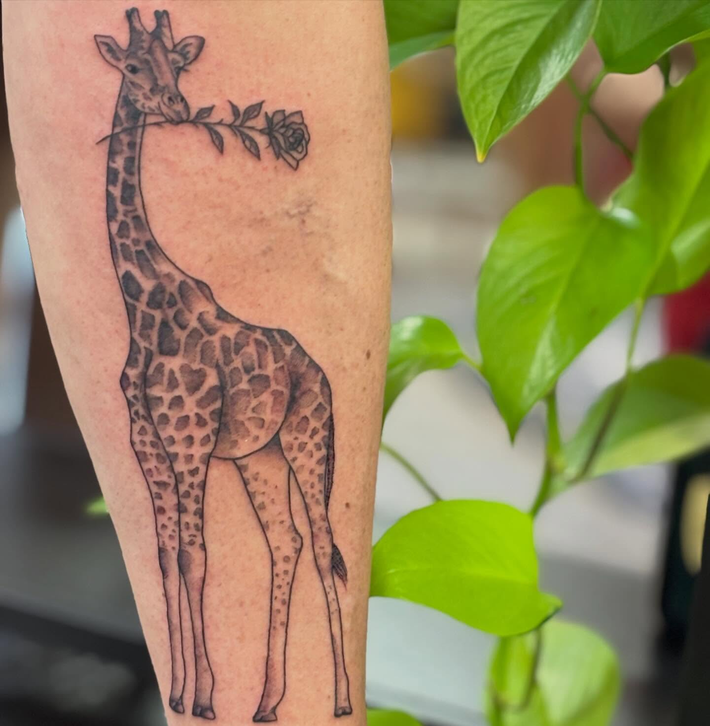 Tattoo by @tattoosbyrye — black_and_grey