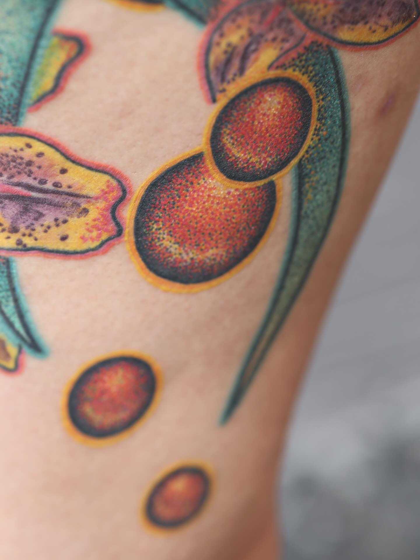 Fruit dotwork tattoo on the upper arm by LiteBriteTattoo, Salt Lake City, Utah