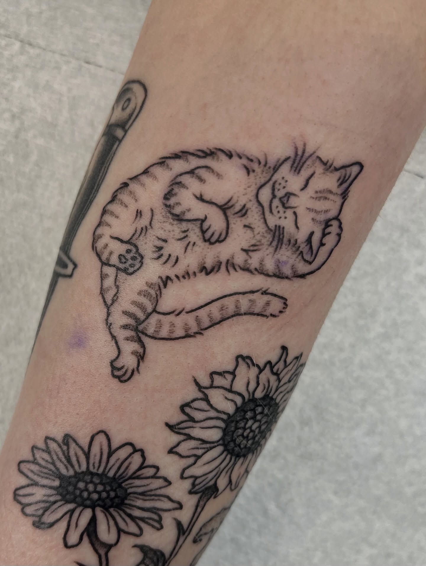 Cat and flowers realism tattoo on the forearm by jay