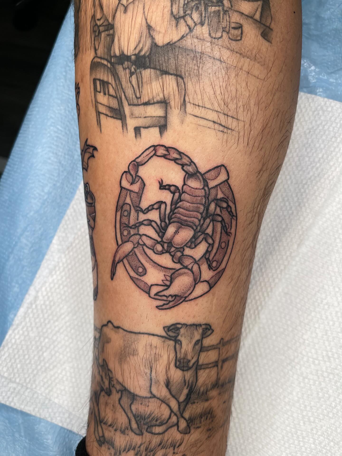 Scorpion black and grey tattoo on the forearm by Allison Gallagher