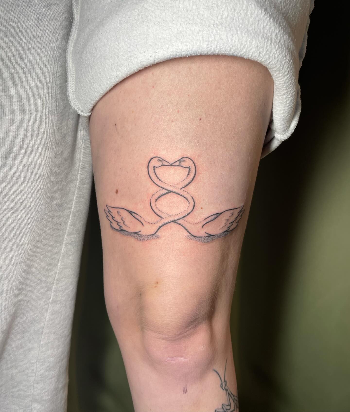 Snake and heart fine line tattoo on the forearm by Quin