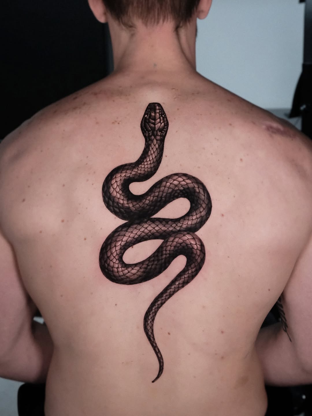 Snake American traditional tattoo on the back by Da-An ･ﾟ✧ 다 안 𓇬˖