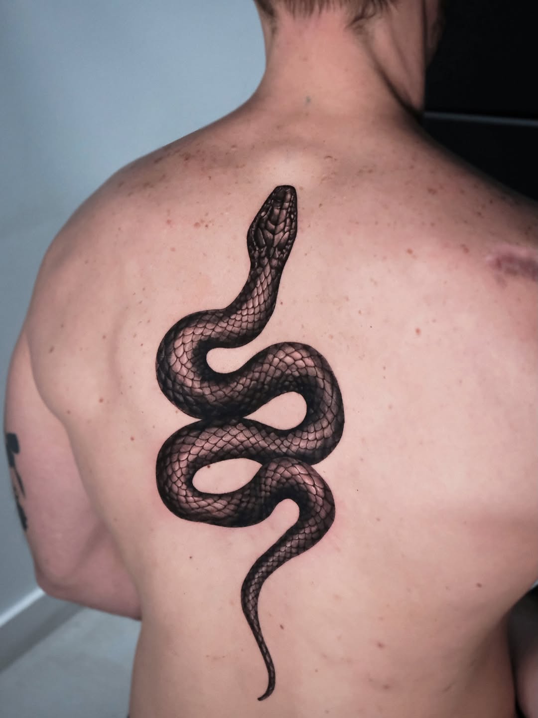 Snake American traditional tattoo on the back by Da-An ･ﾟ✧ 다 안 𓇬˖