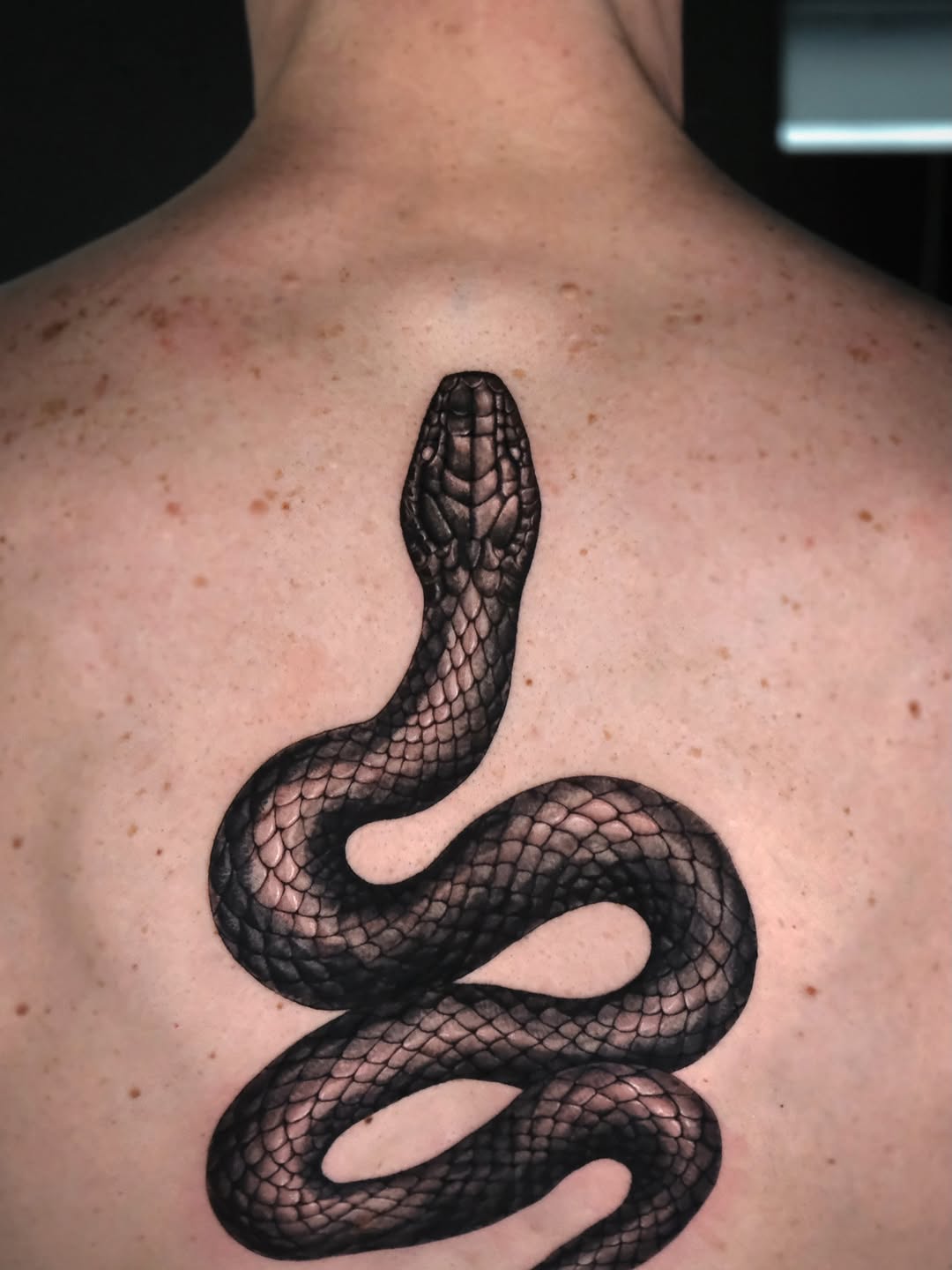 Snake American traditional tattoo on the back by Da-An ･ﾟ✧ 다 안 𓇬˖