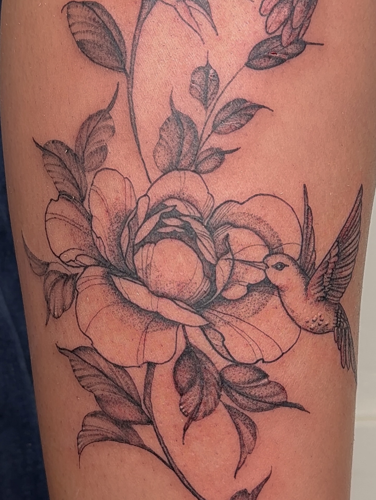 Rose and hummingbird dotwork tattoo on the thigh by ❤️‍🔥 Abigail Chambers ❤️‍🔥