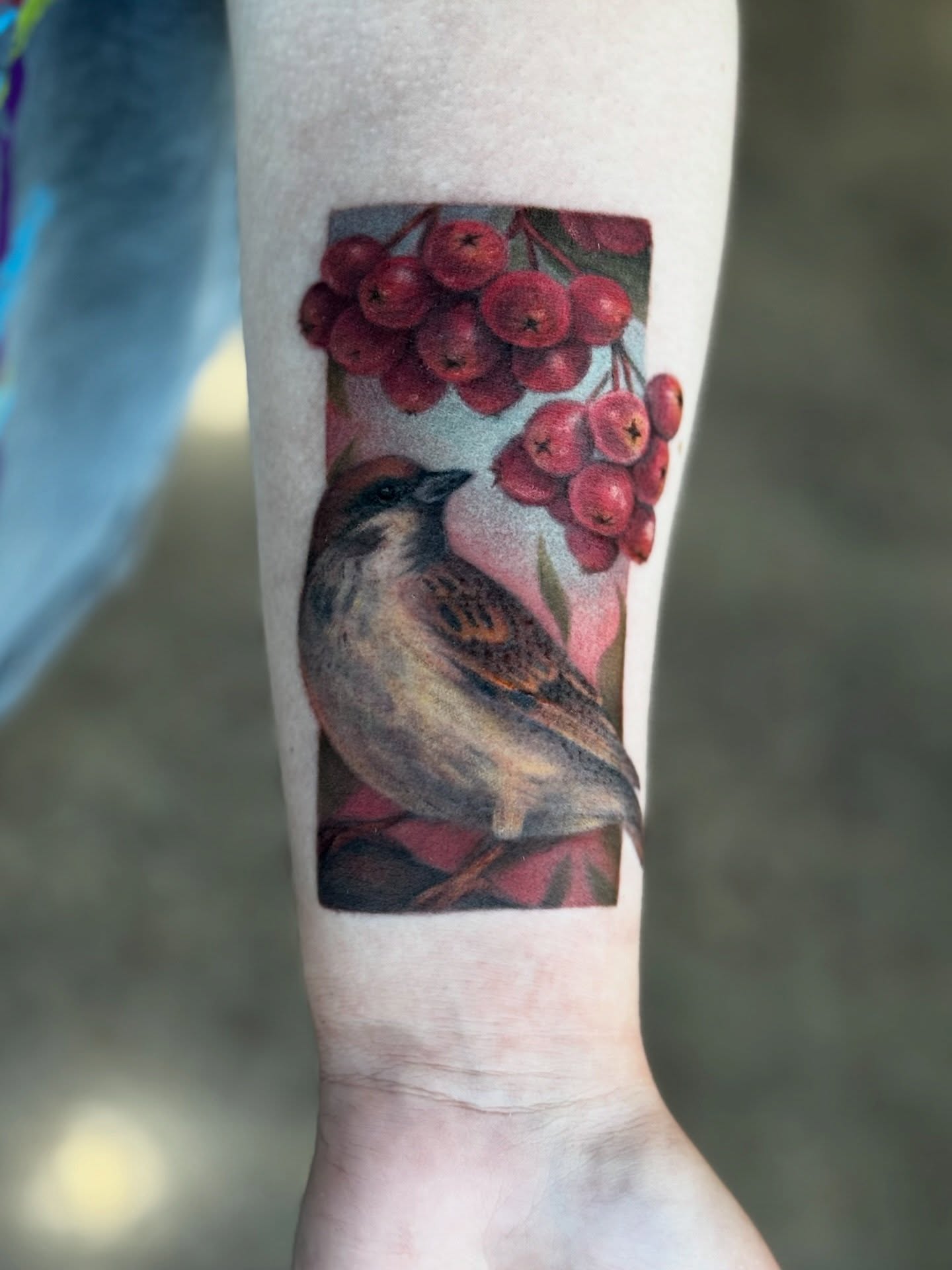 Bird and berries realism tattoo on the forearm by Glory Pechonis πΏ