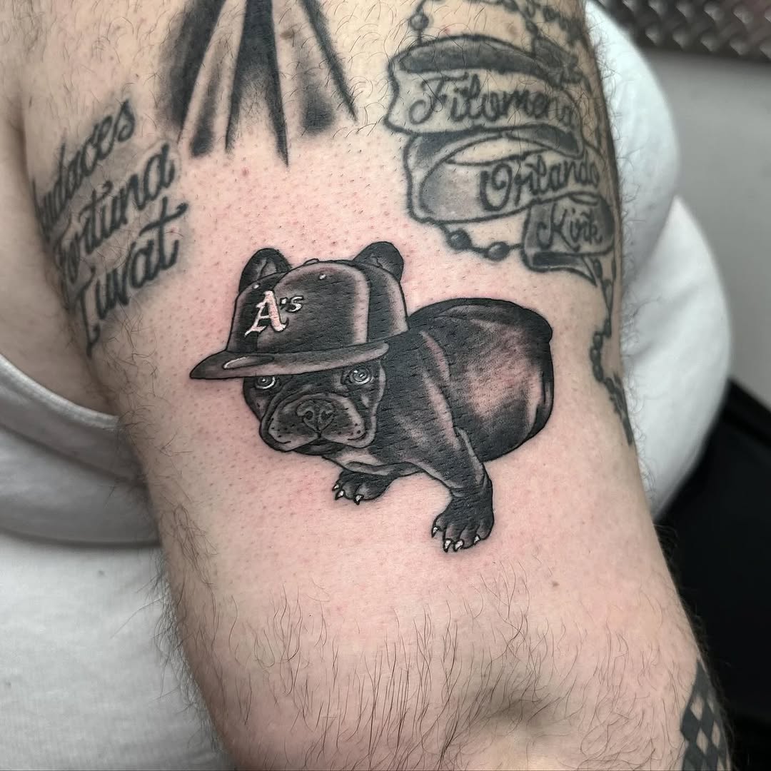 French bulldog wearing a baseball cap realism tattoo on the forearm by Greyson Heidenreich