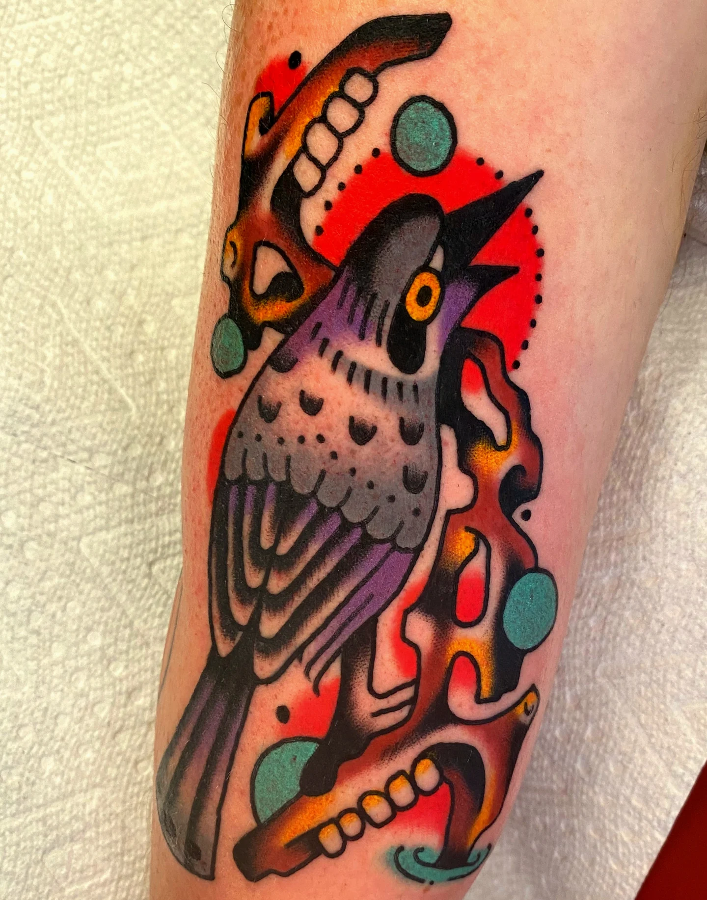 Bird American traditional tattoo on the forearm by Quinn, Kansas City, Missouri