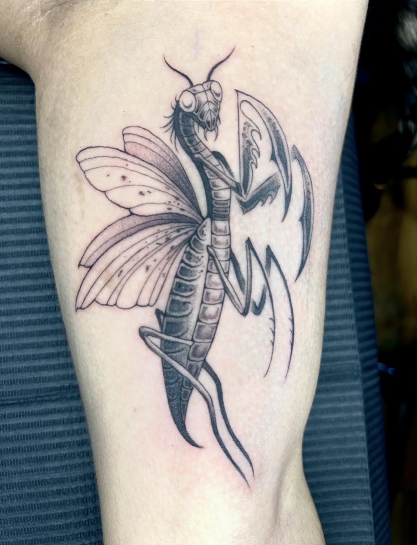 Insect black and grey tattoo on the forearm by Magnus