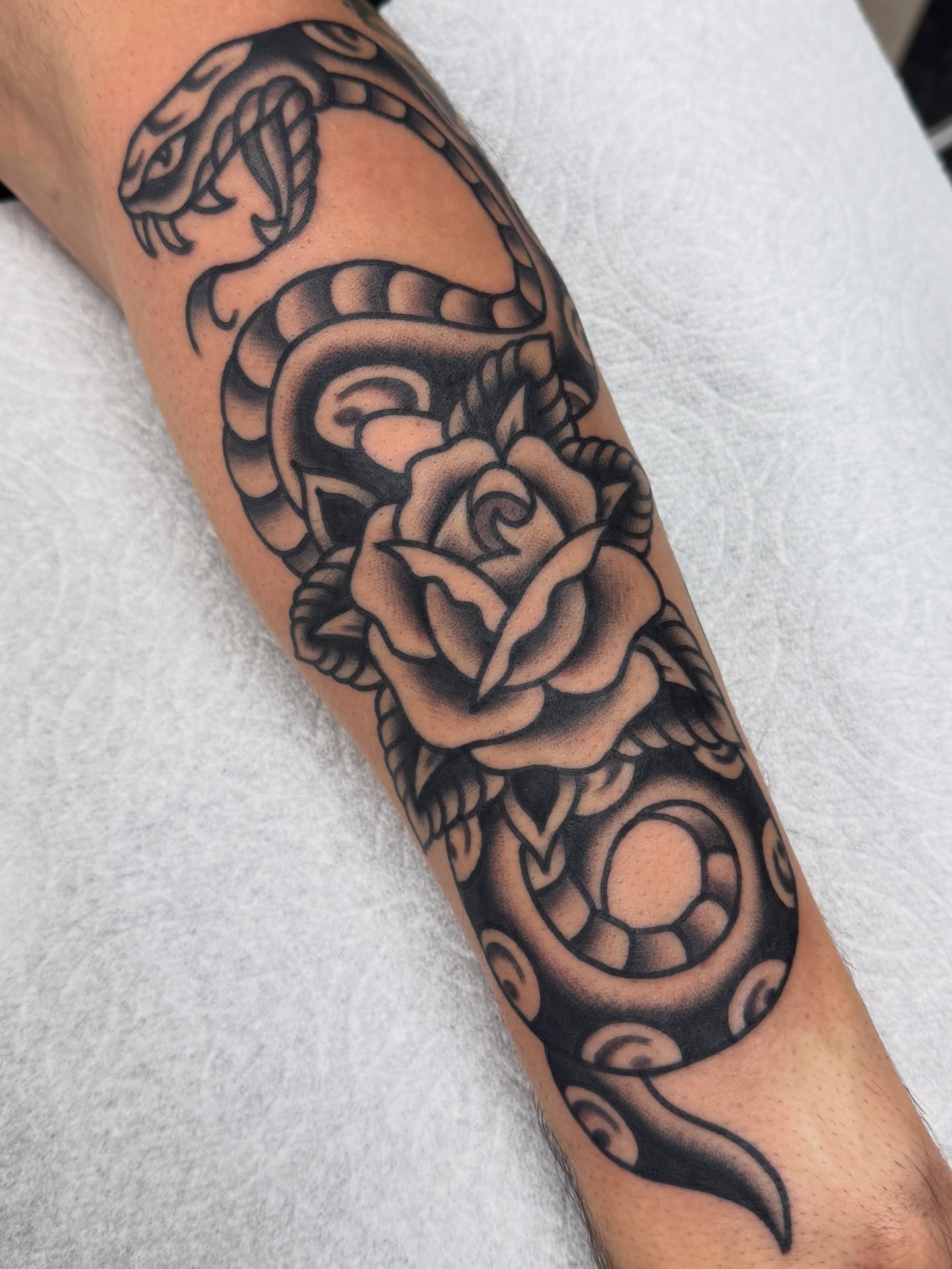 Snake and rose realism tattoo on the forearm by Joey Burdette Tattoos